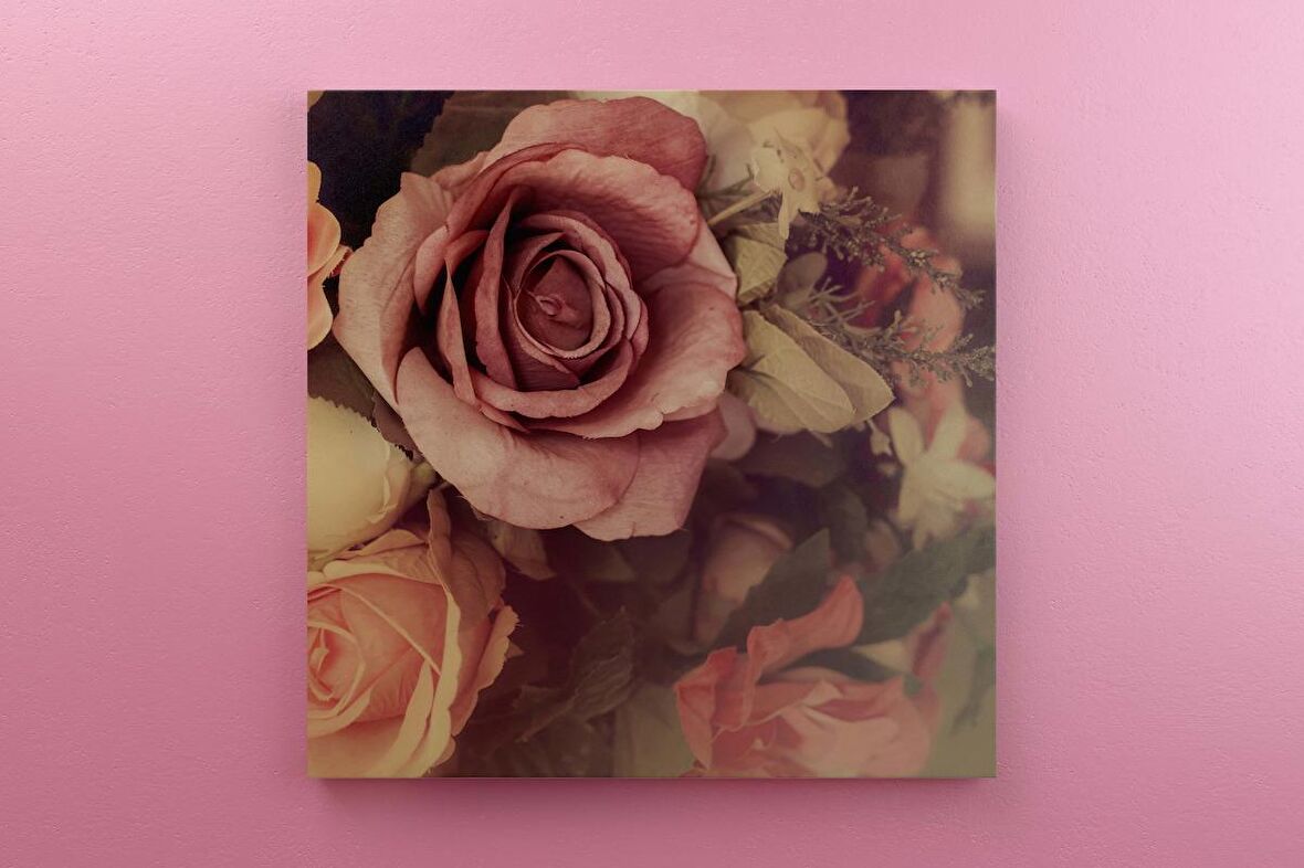 Pastel Pembe Güller Dekoratif Kare Kanvas Tablo