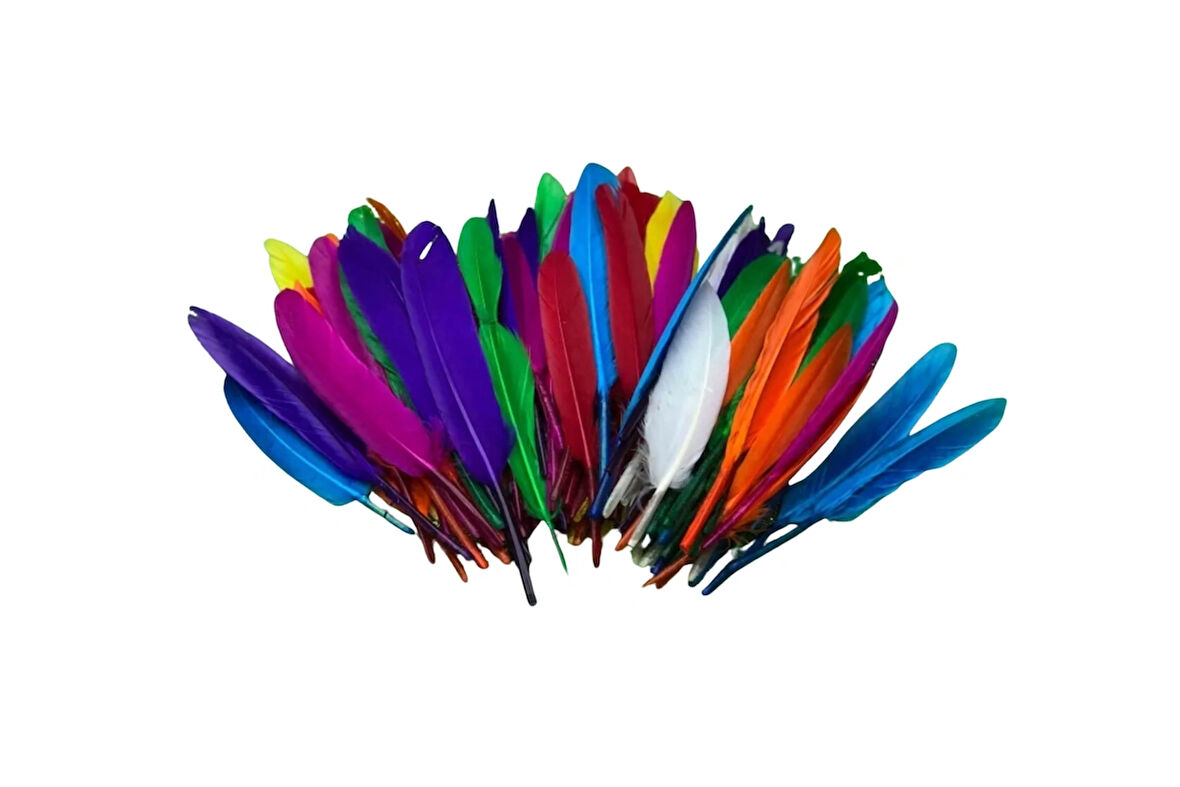 Kuş Tüyü Renkli 1 Paket’ Duyusal Algısal Motor Gelişim