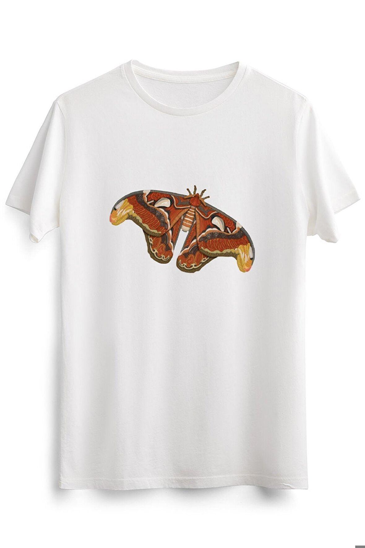 Erkek Beyaz Atlas Moth