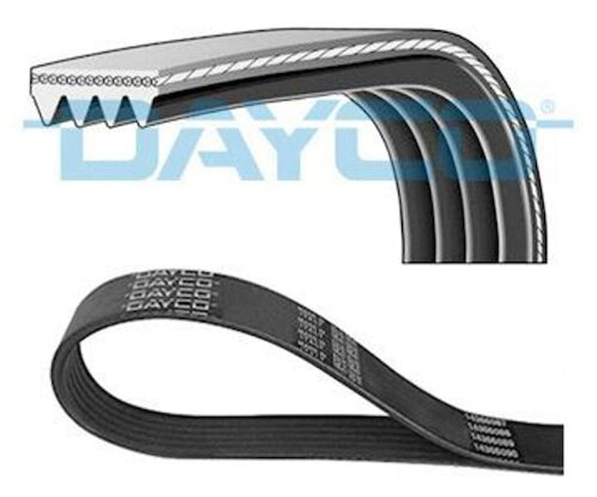 Dayco 4PK954 Kanallı V Kayışı 205 305 309 404 5750.SS
