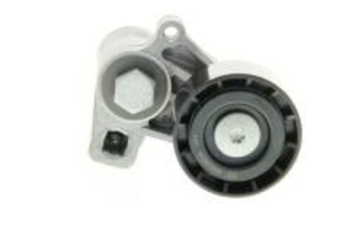 Dayco Apv2295 Alternatör Gergi Rulmanı Kutuklu P206-306-406-Partner-Berlıngo-Jumpy-Xsara 1.9D-1.9Td-2.1Td 91