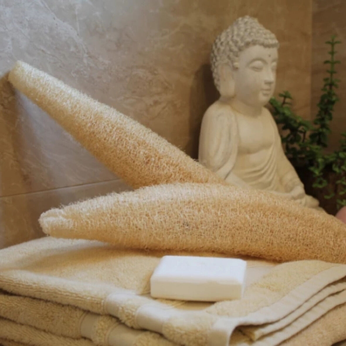 Dodes Doğal Kabak Lifi