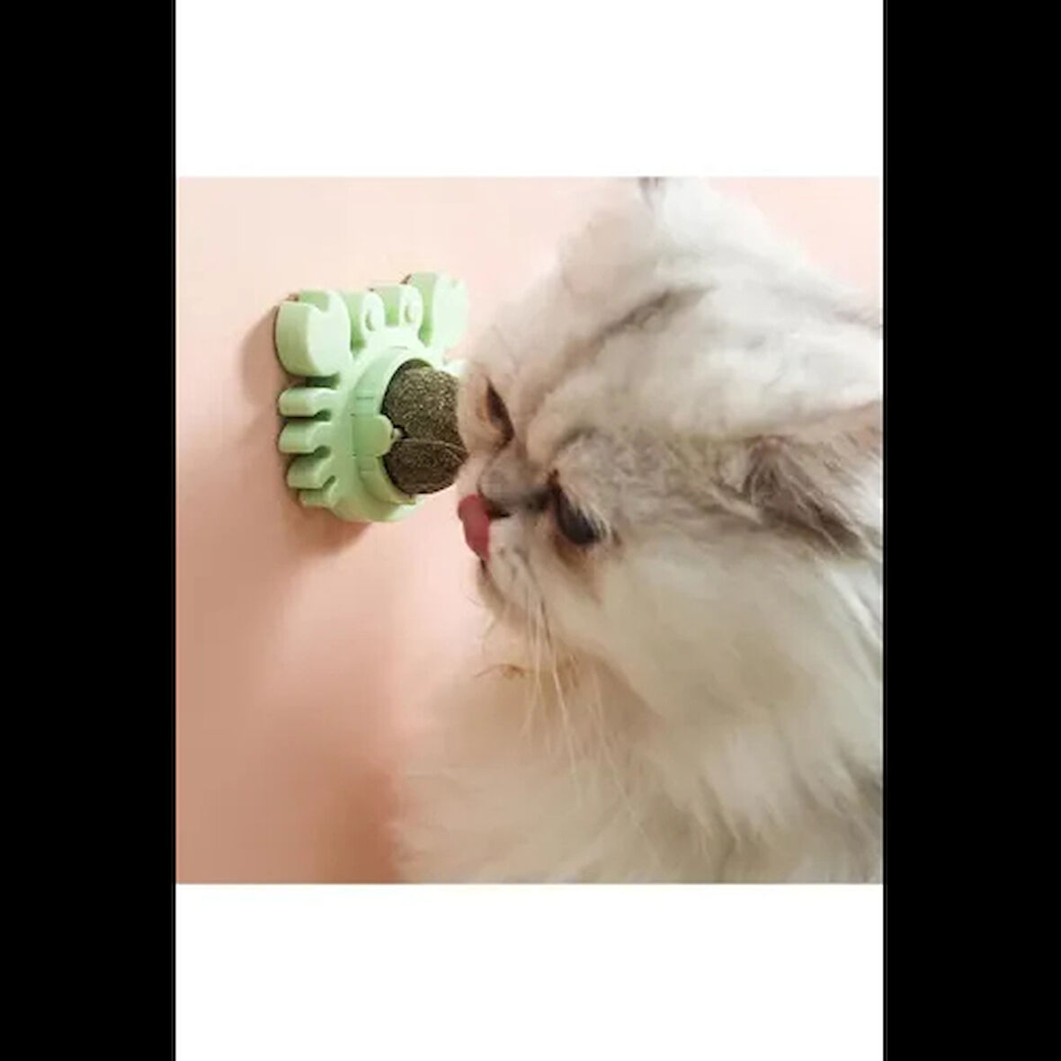 Dodes Yengeç Kedi Otu Oyun Topu