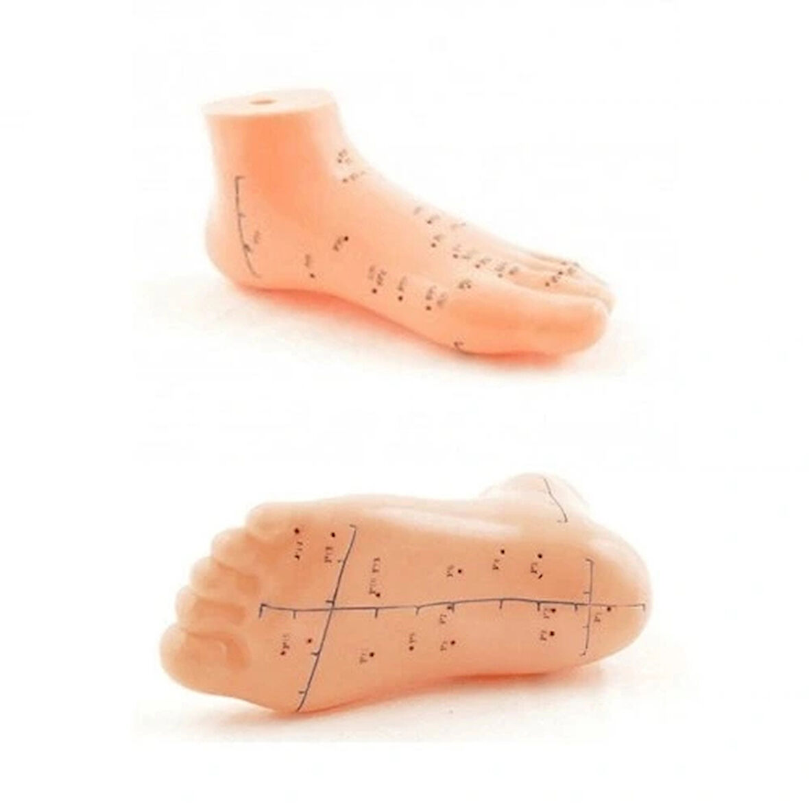 Dodes Ayak Akupunktur Bölgesi Maketi