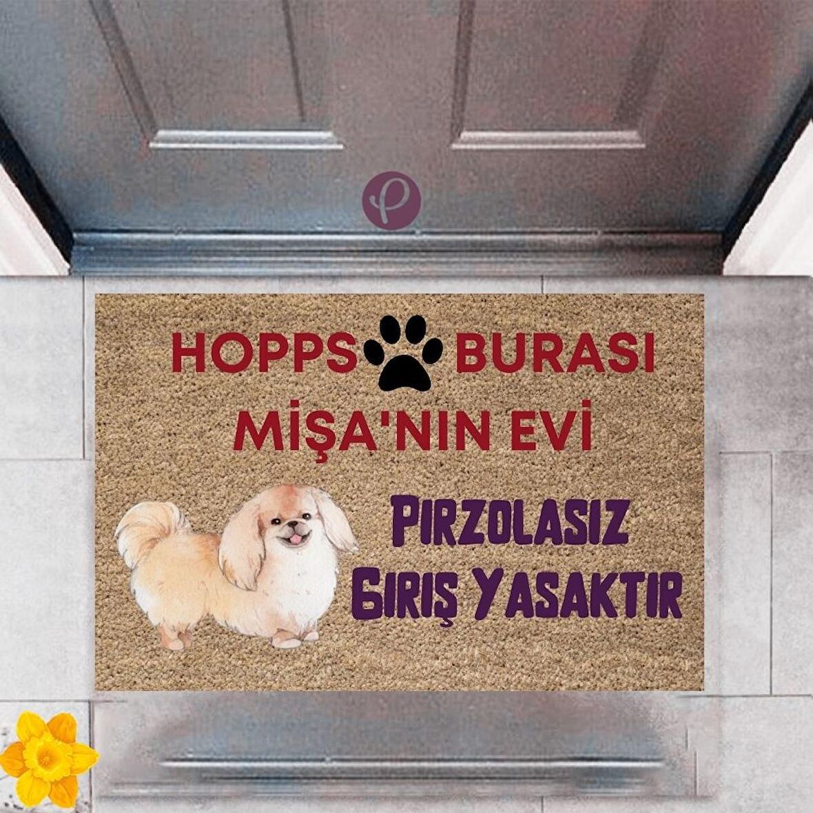 Kapı Önü Paspası Dekoratif Dijital Baskı Hopps  P-2475