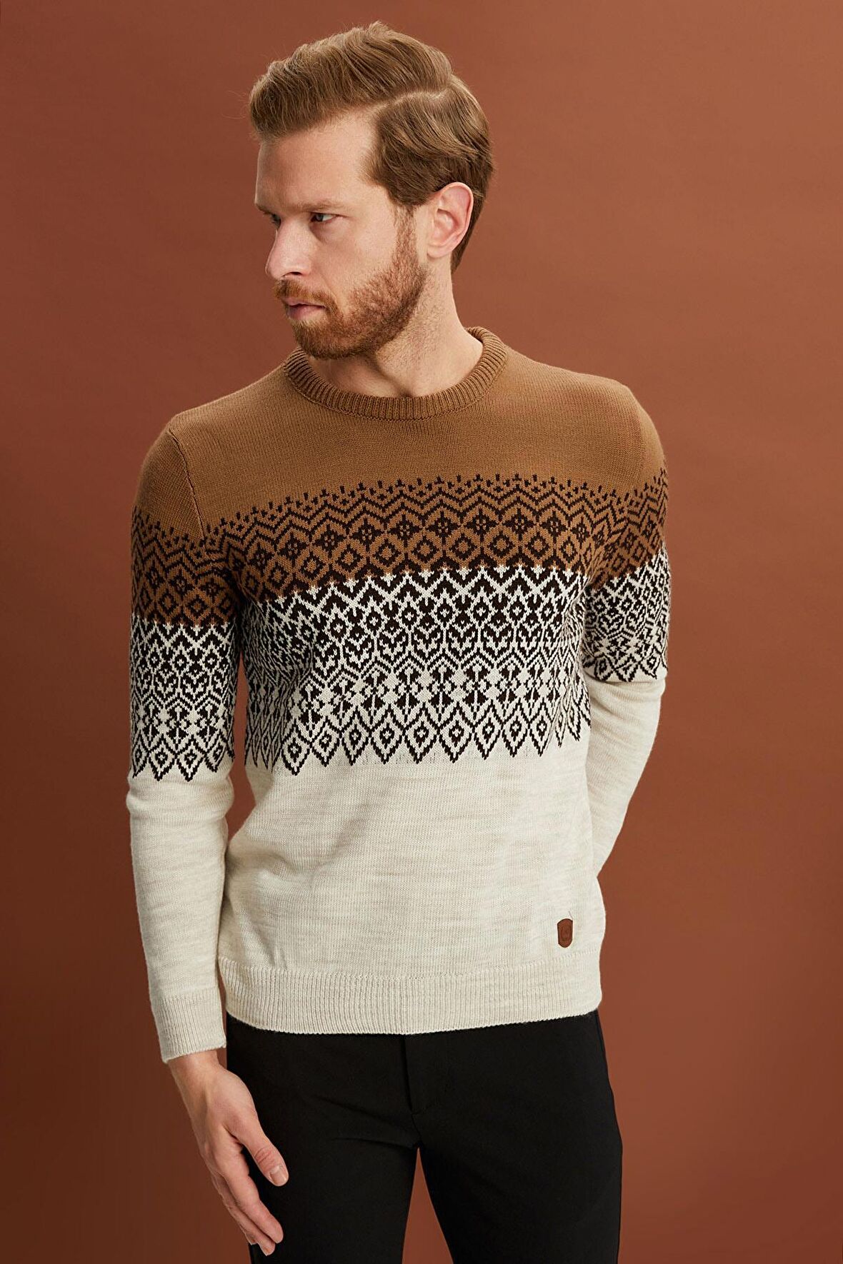 ALEXANDERGARDI BİSİKLET YAKA DESENLİ KAZAK (E22-5709)