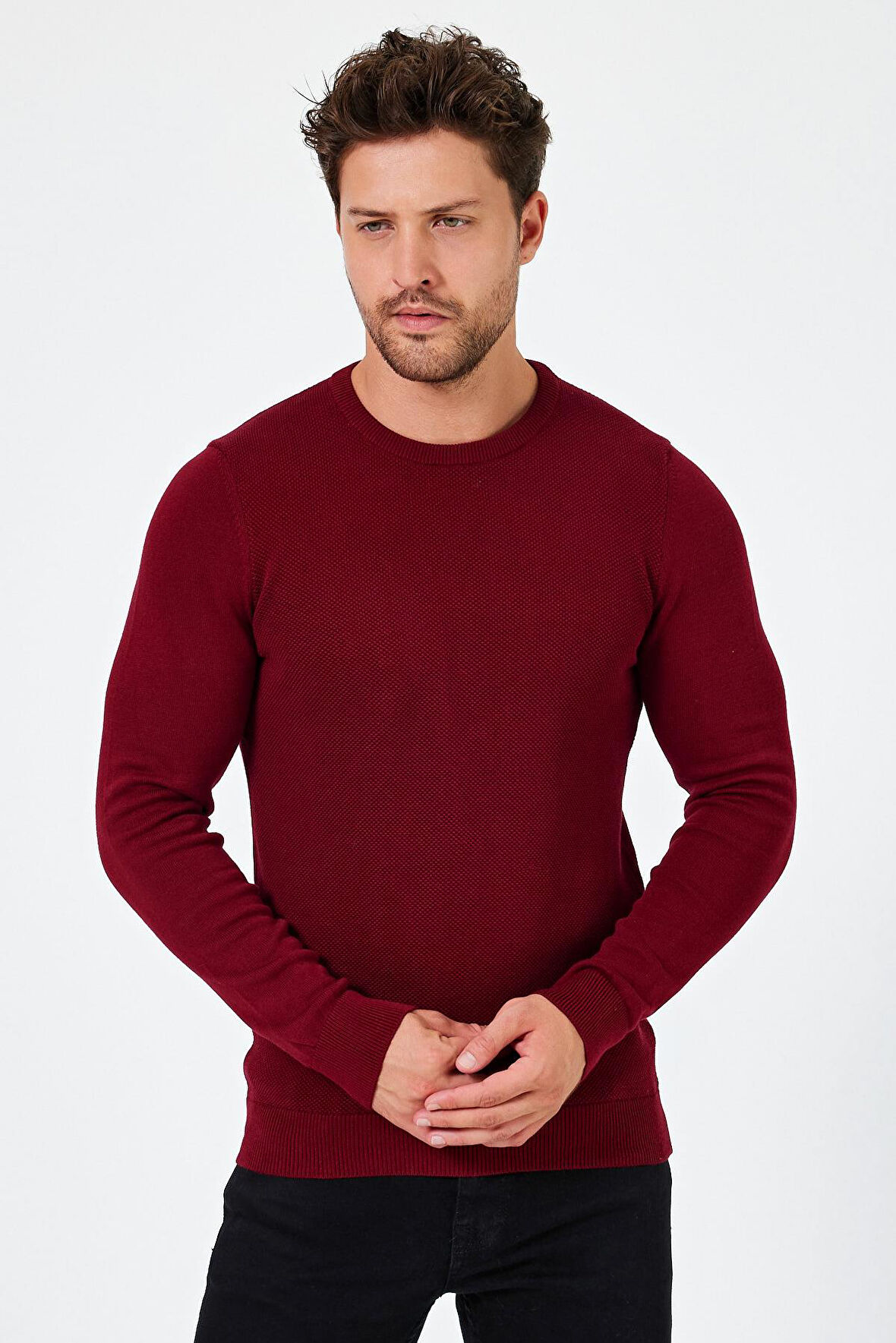 ALEXANDERGARDI BİSİKLET YAKA REGULAR FİT KAZAK (E24-EZE-03)