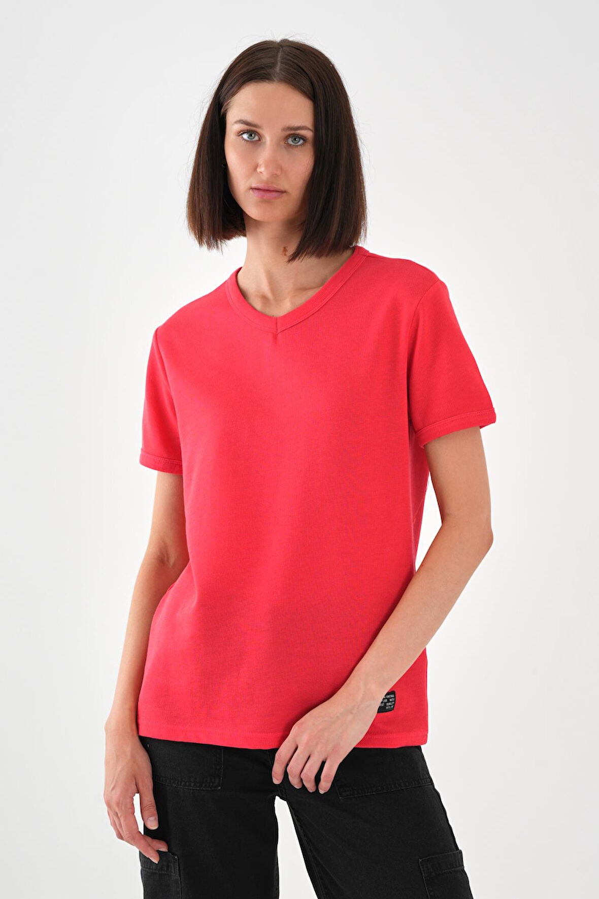 ALEXANDERGARDI V Yaka T-shirt