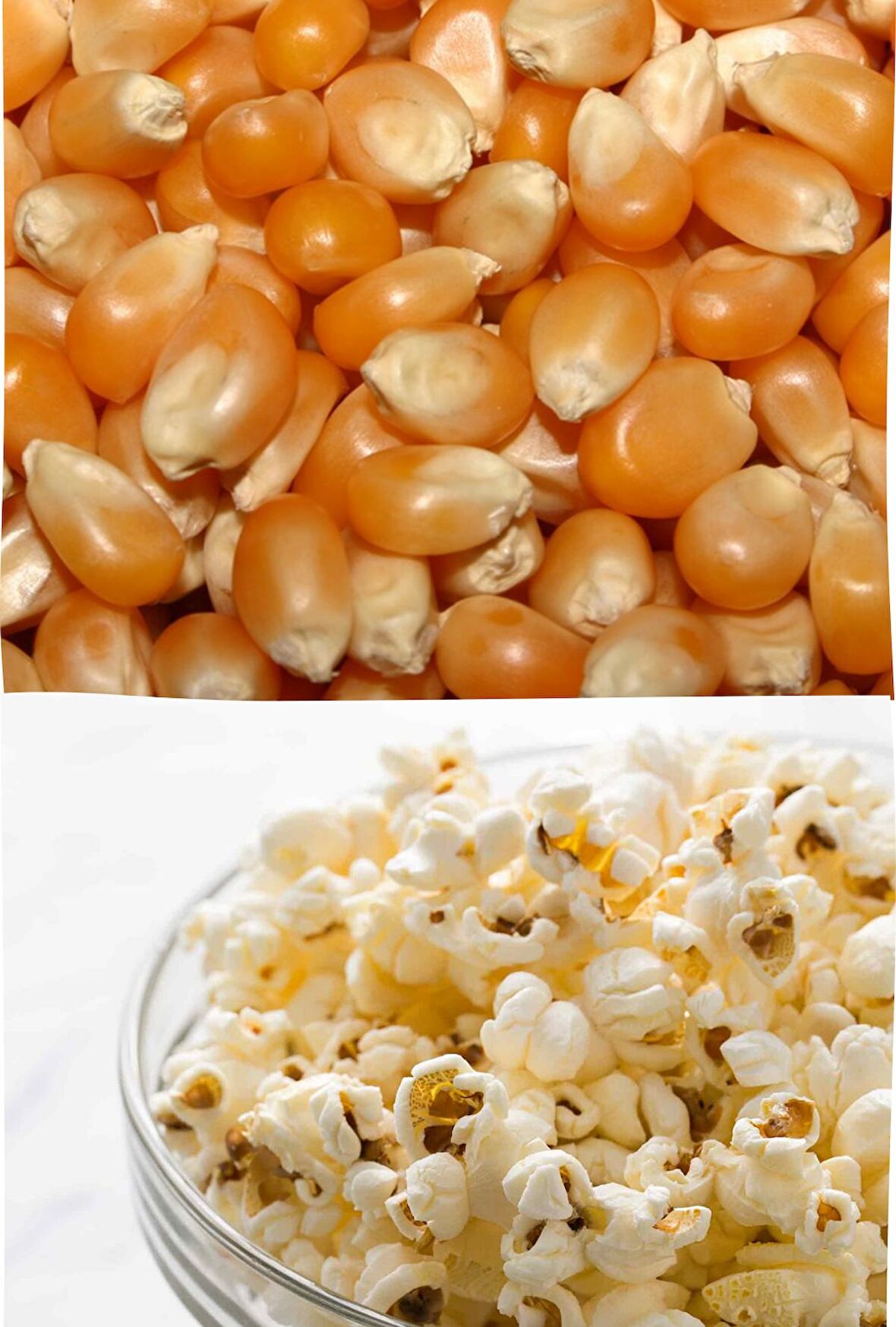 E-aktariye Patlatmalık Mısır 500 Gr Popcorn Movie Sinema Yılbaşı