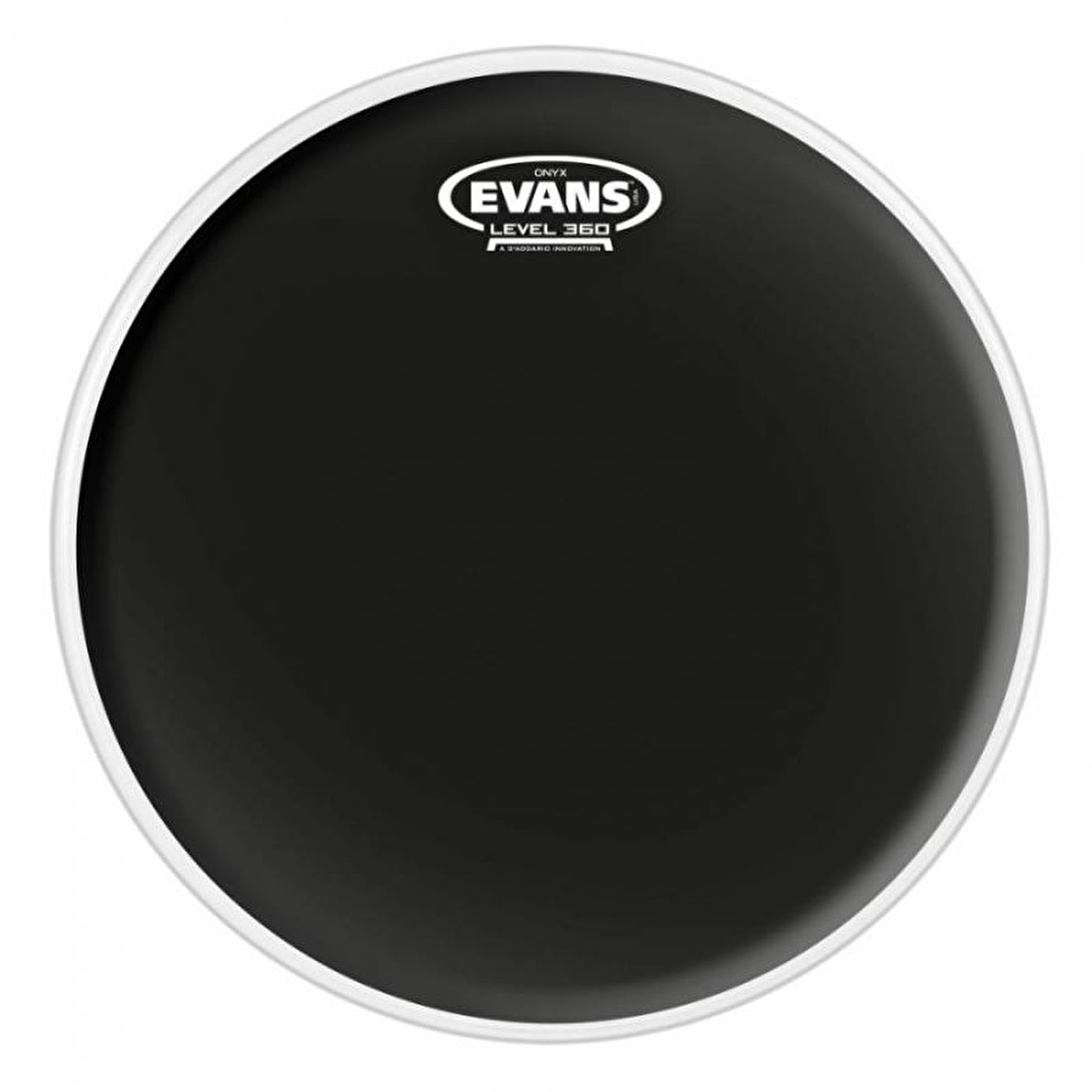 EVANS B12ONX2