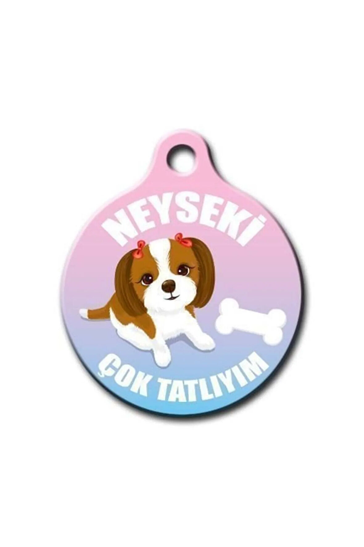 Sevimli Köpek Desenli Yuvarlak Köpek Künyesi Medium