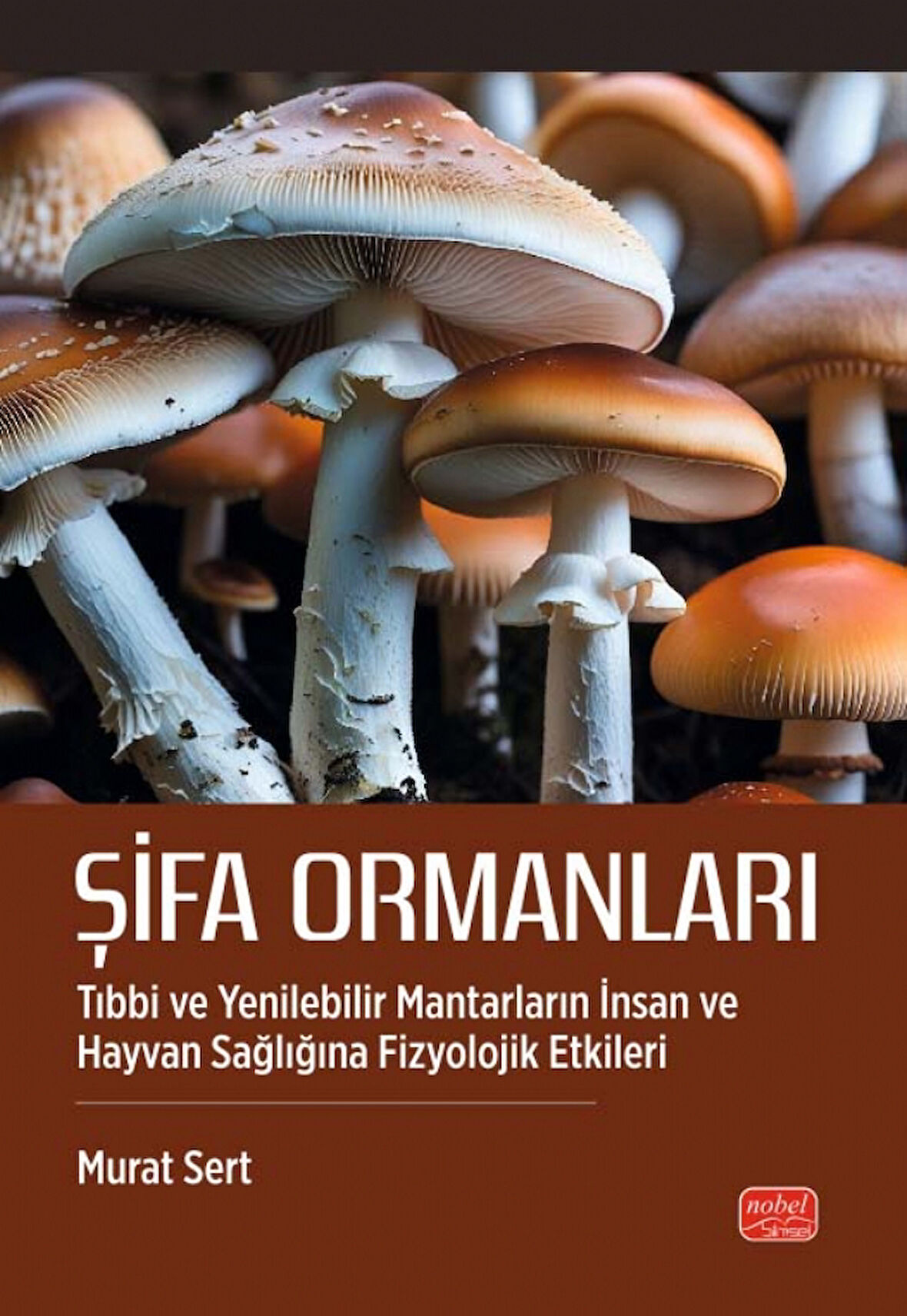 ŞİFA ORMANLARI - Tıbbi ve Yenilebilir Mantarların İnsan ve Hayvan Sağlığına Fizyolojik Etkileri