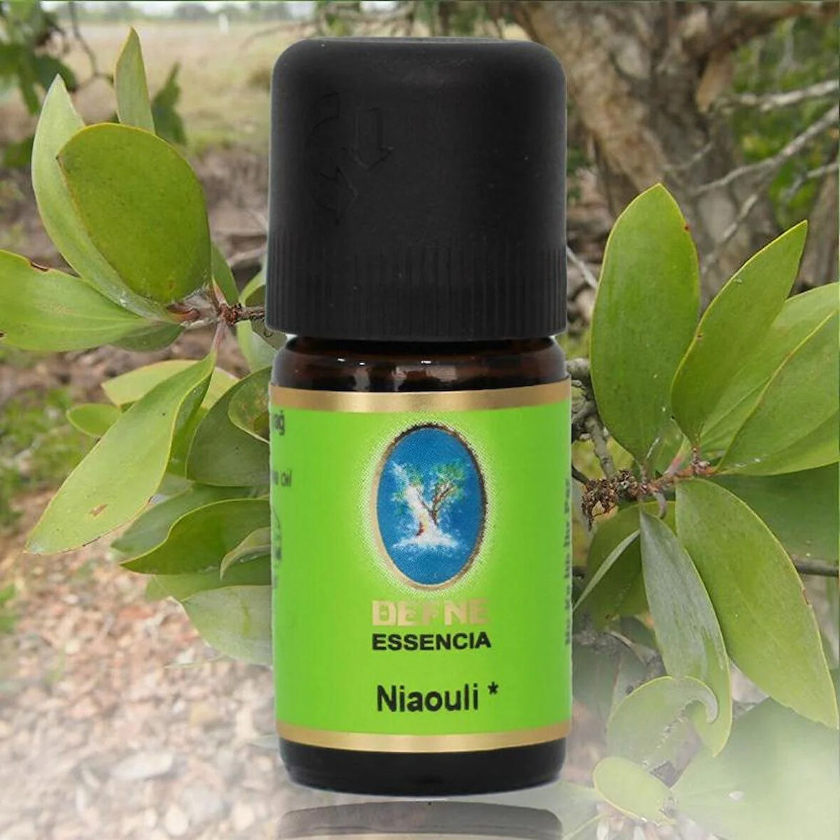 Nu-Ka Defne Niaouli 10ML Organik