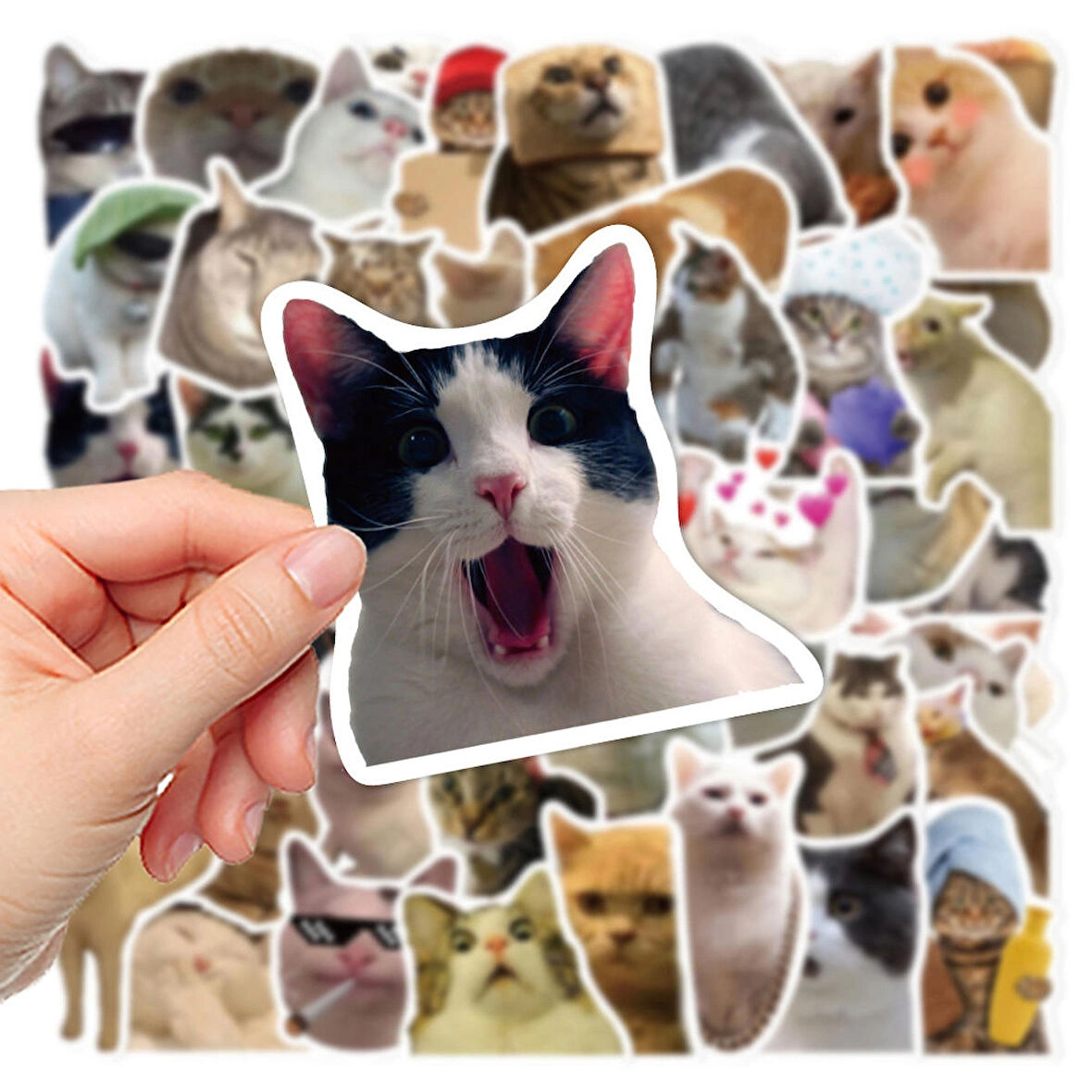 Çılgın Cats Sticker Seti | Laptop Ajanda Notebook Tablet Telefon Defter Etiket Bullet Journal