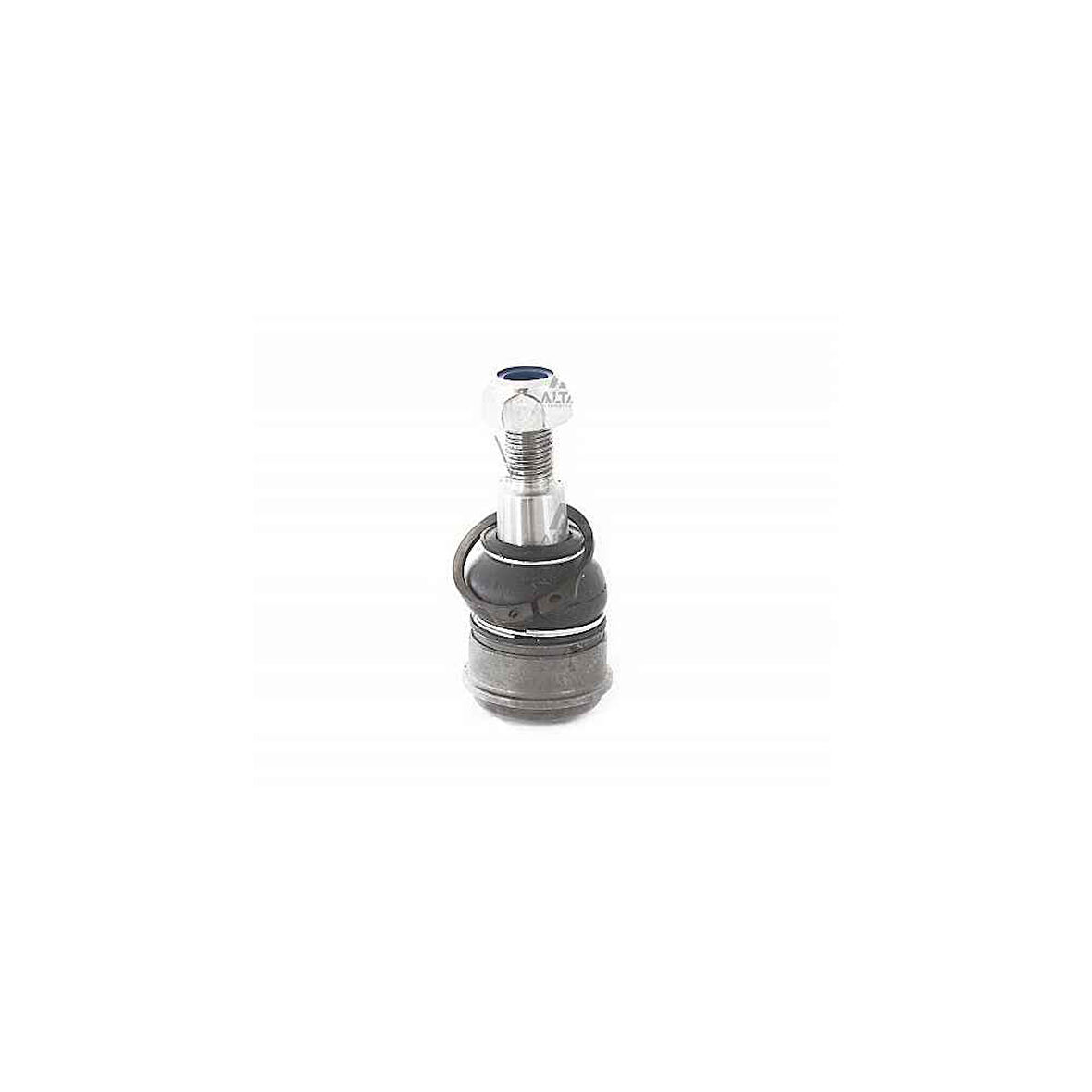 Jazz 02- Hrv Alt Rotil - Mhr-34346 - 51220-Sel-T01 