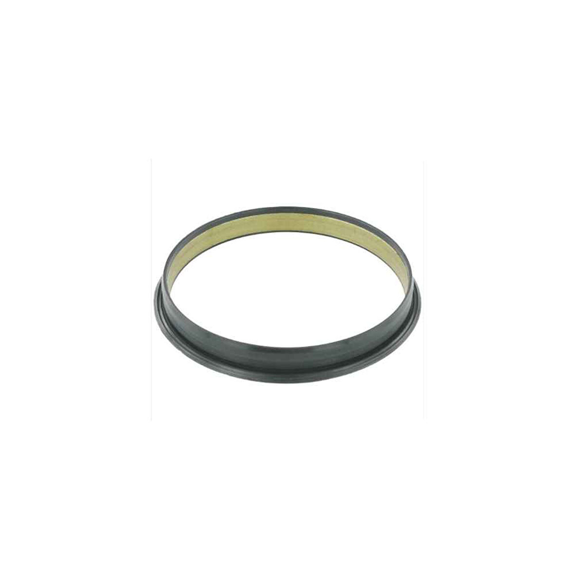 Transit V-184/V-347/V362-63/Psa 01- Vakum Pompa Keçe - Skt-046221-P - 1C1Q2A454Ac 