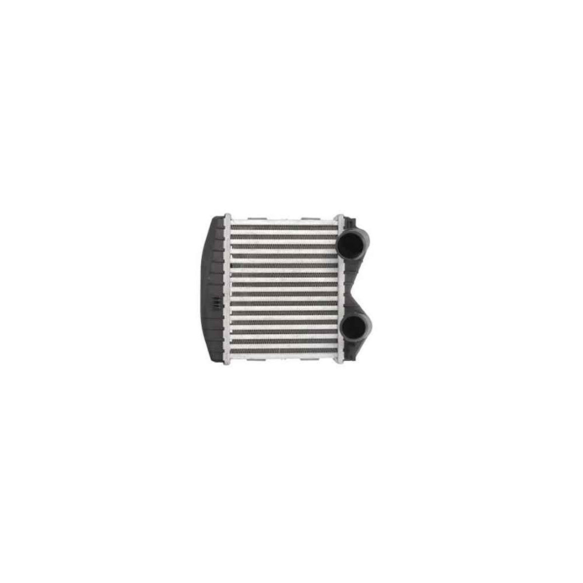 Smart 450-452 Turbo Radyatörü 2001-2007 Bsg 60-535-019 0003007V002 