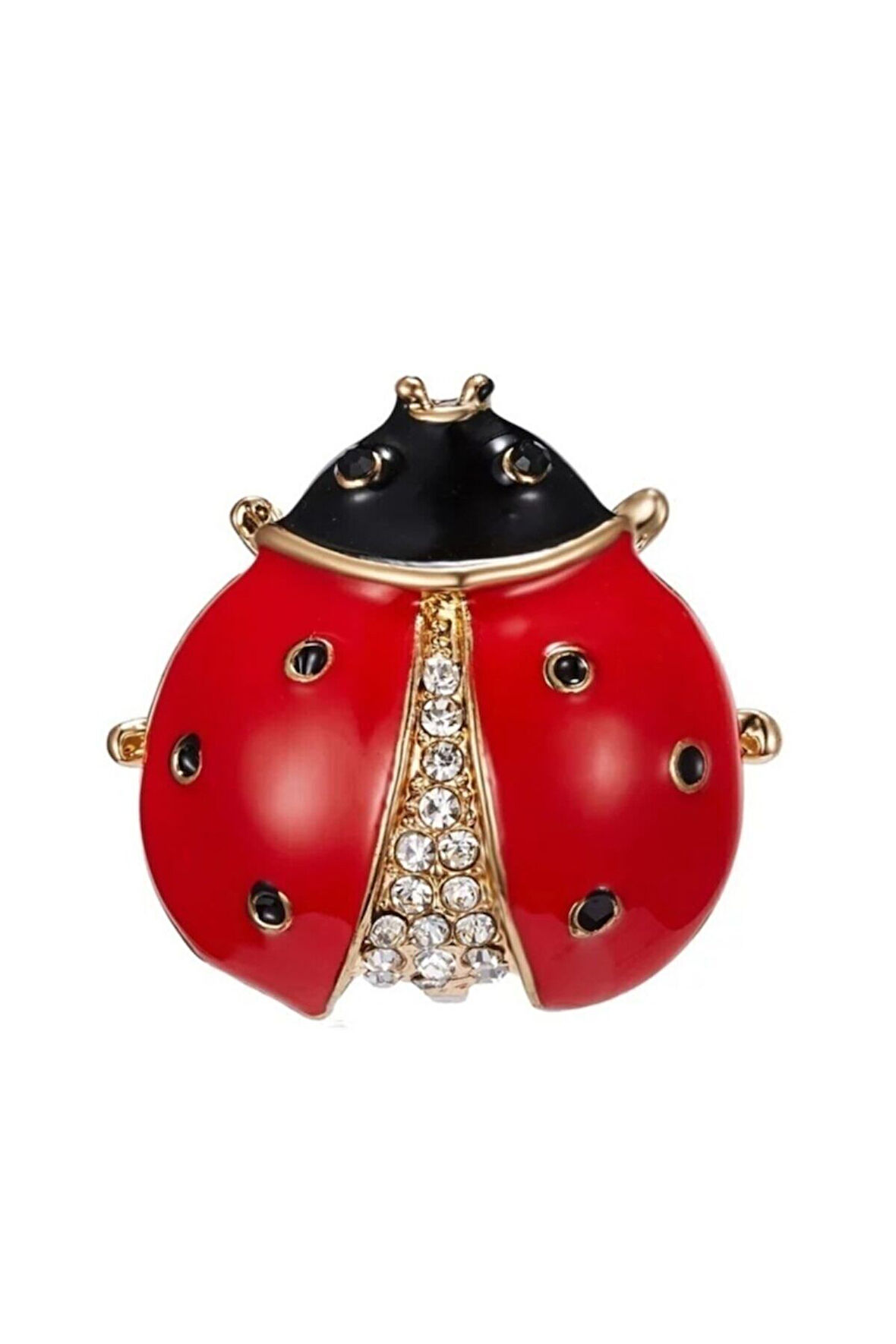 Kırmızı Uğur Böceği Broş