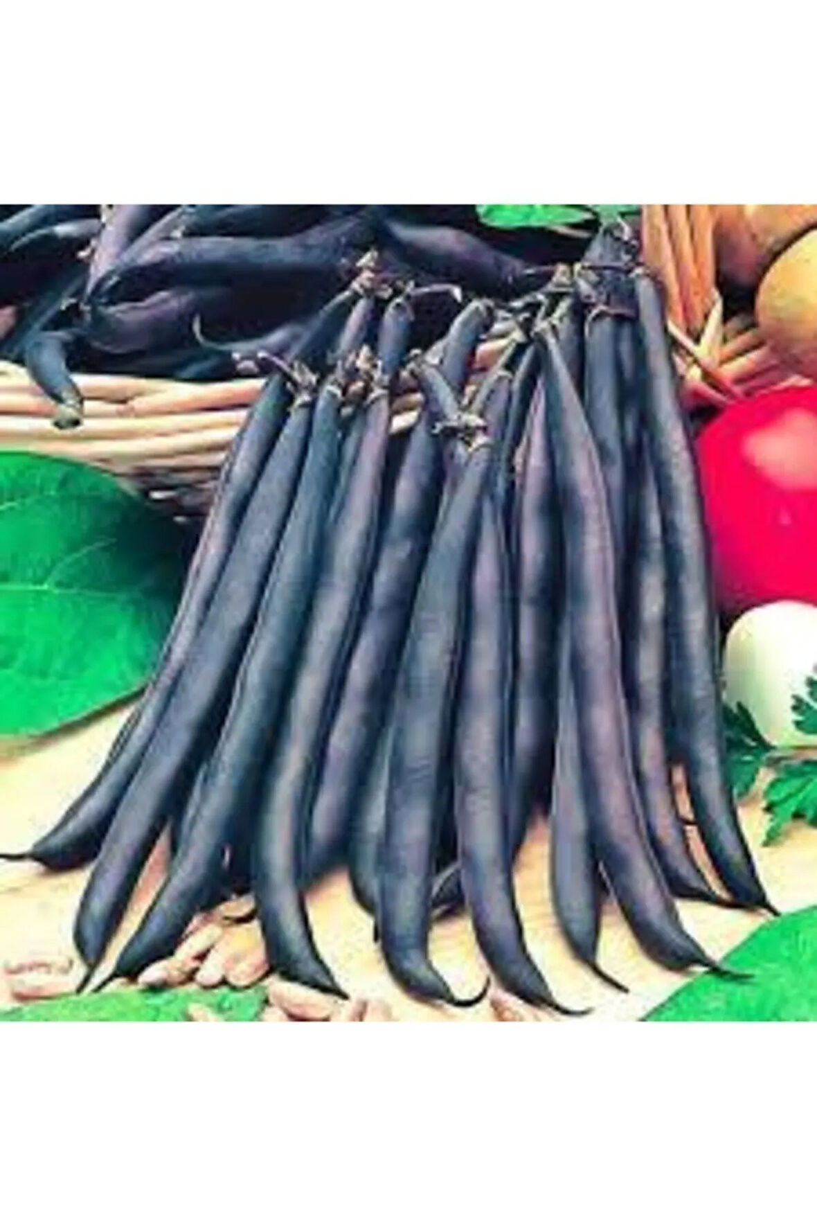 Süper Paket Siyah Fasulye Tohumu 100 Adet