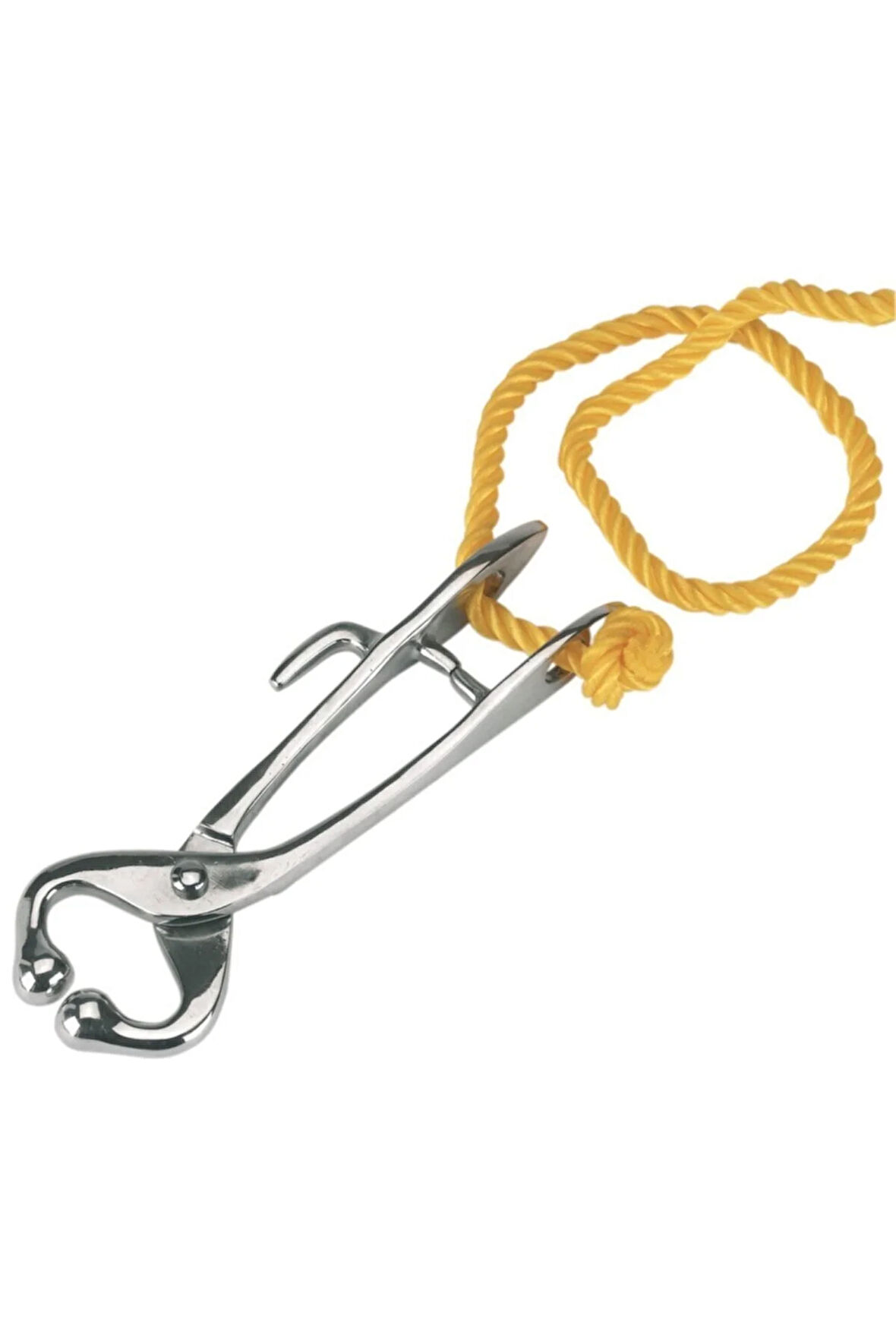 Ipli Burunsallık (muşet)