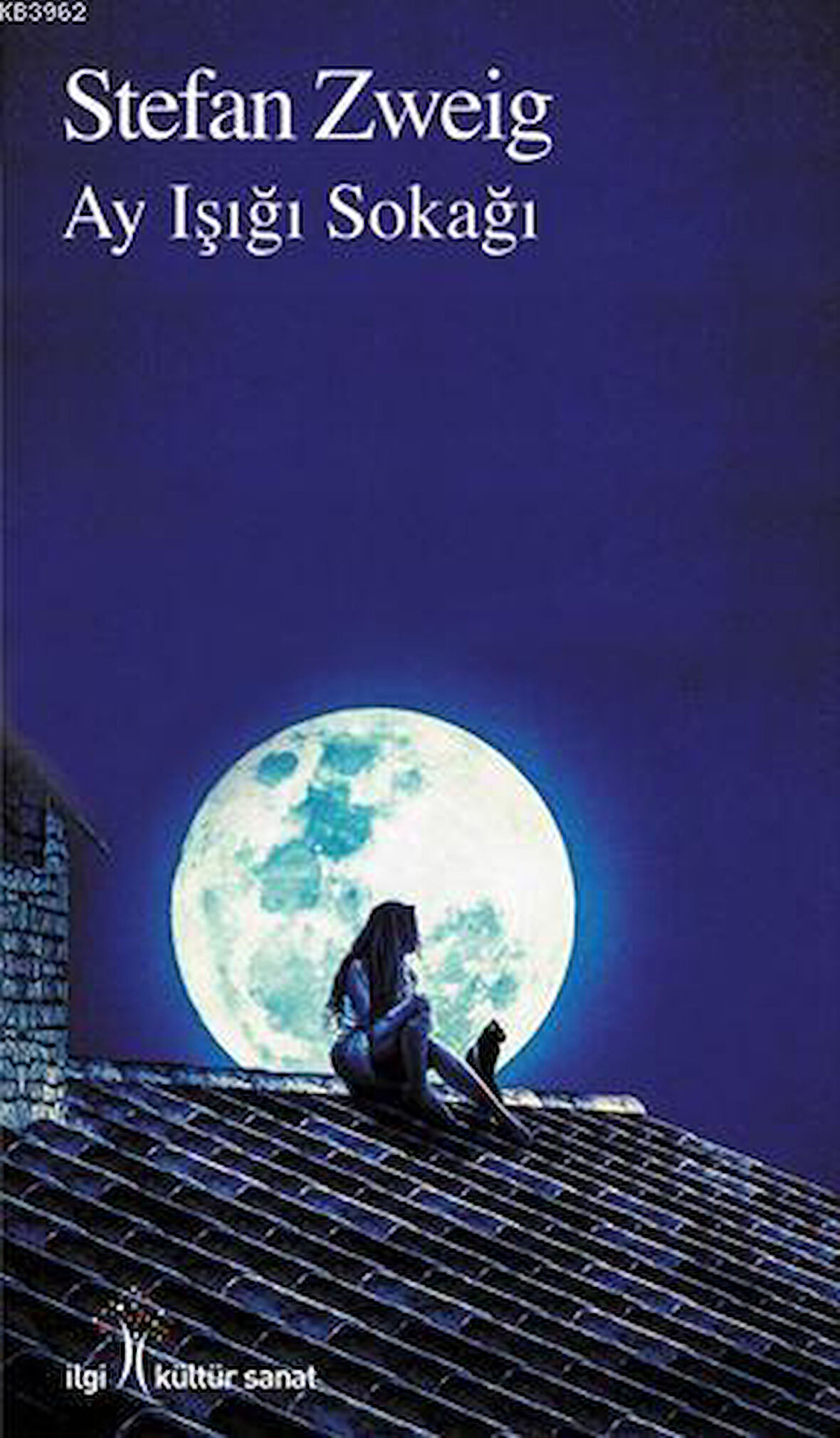 Ay Işığı Sokağı-Korunaklı Poşetle