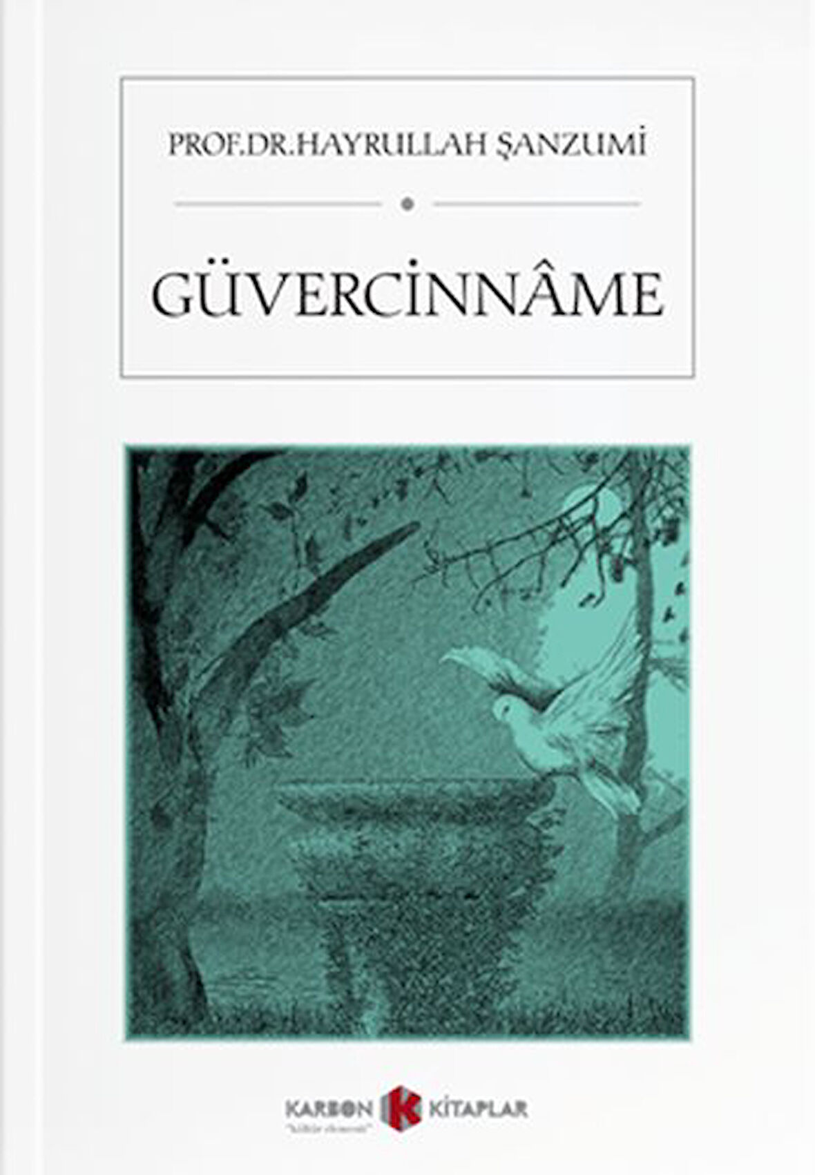 Güvercinname-Korunaklı Poşetle