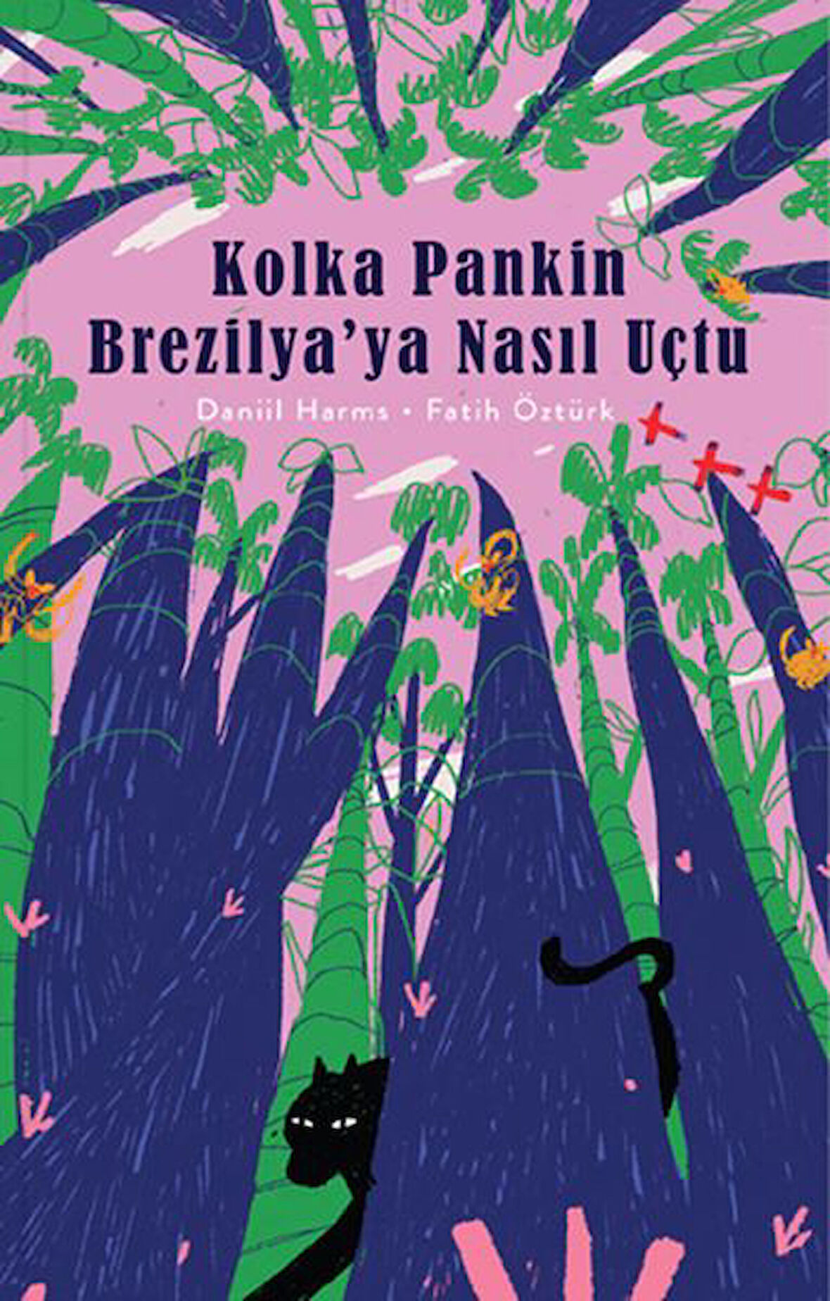 Kolka Pankin Brezilya ya Nasıl Uçtu-Korunaklı Poşetle