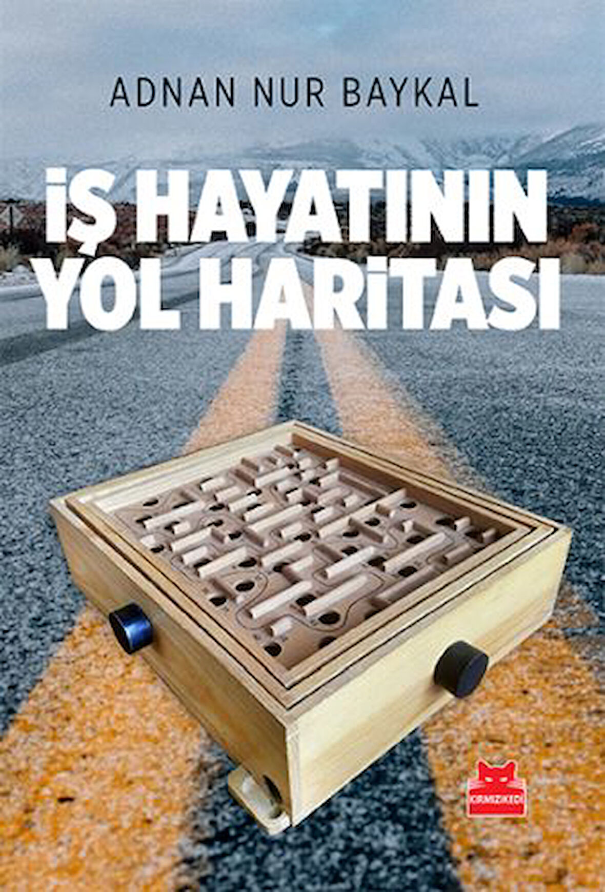 İş Hayatının Yol Haritası-Korunaklı Poşetle
