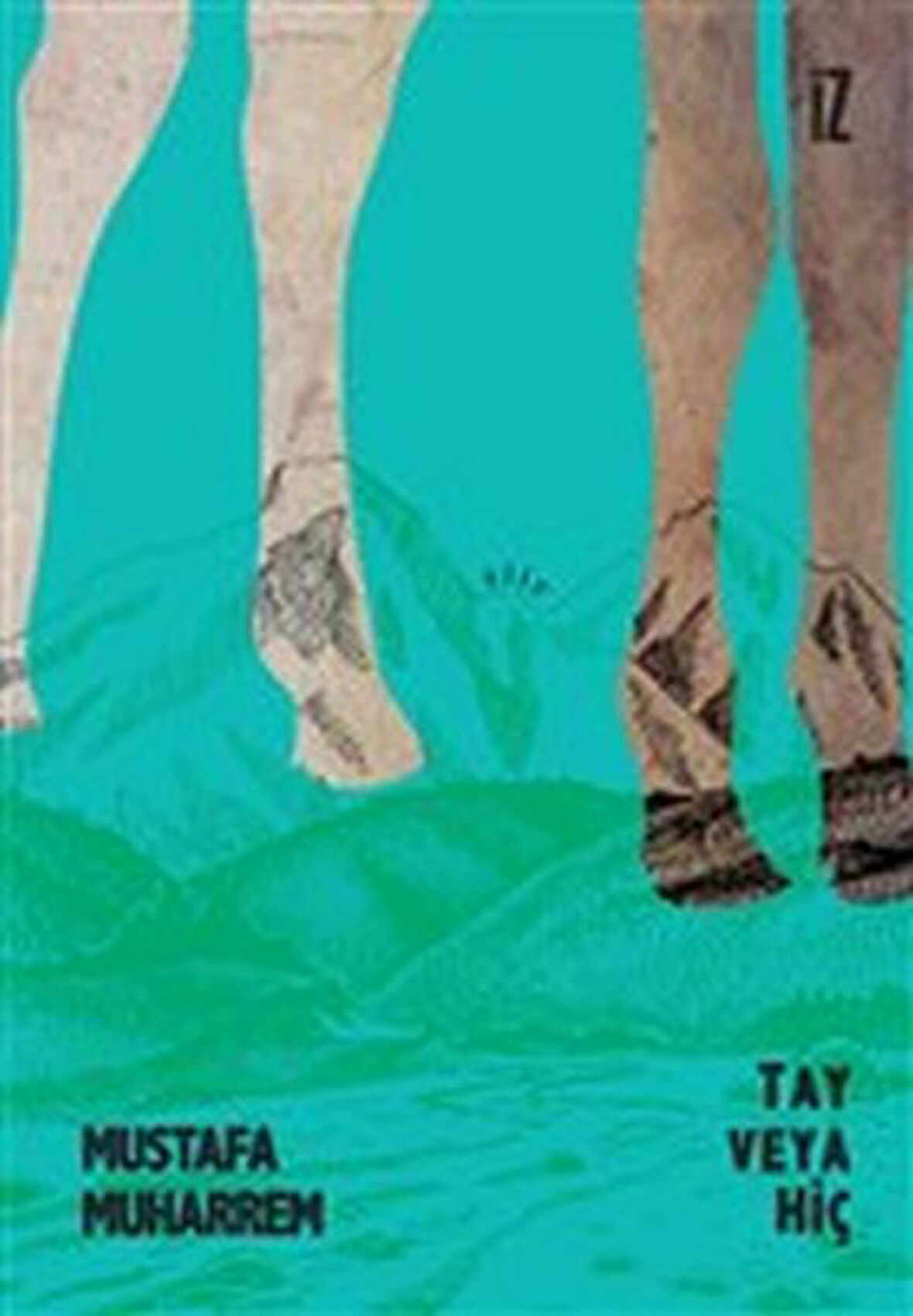 Tay veya Hiç-Korunaklı Poşetle