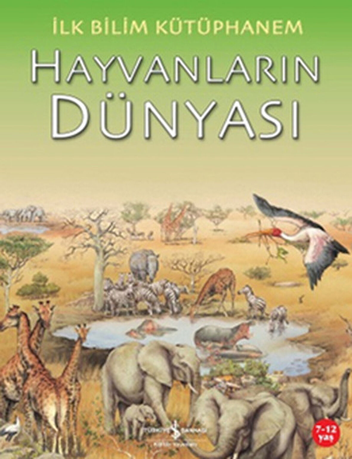 İlk Bilim Kütüphanem Hayvanların Dünyası-Korunaklı Poşetle