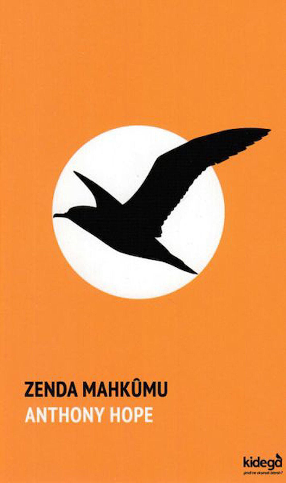 Zenda Mahkumu-Korunaklı Poşetle