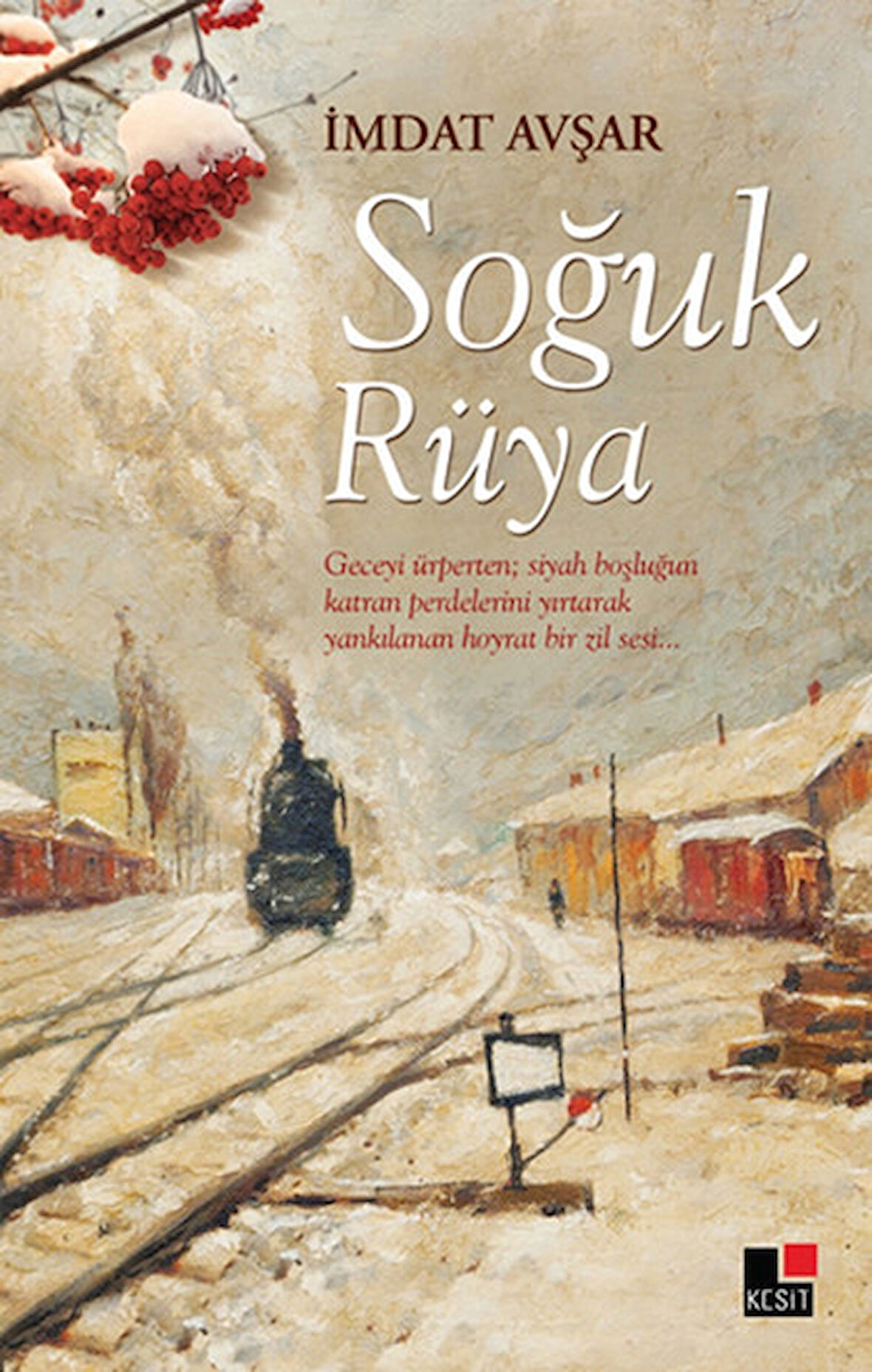 Soğuk Rüya-Korunaklı Poşetle