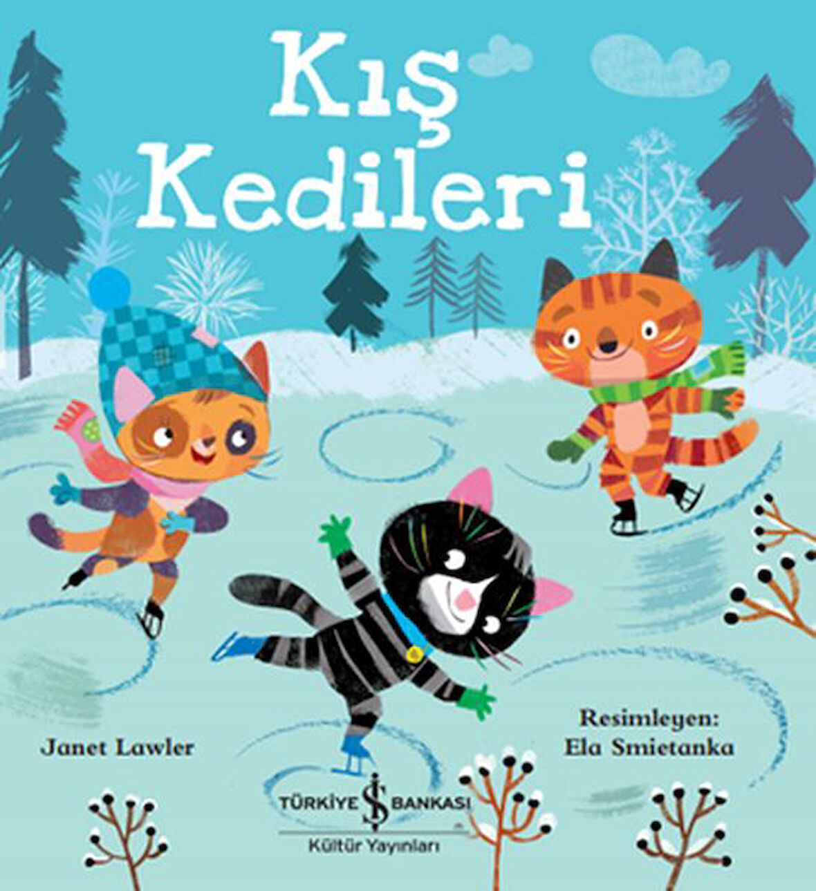 Kış Kedileri-Korunaklı Poşetle