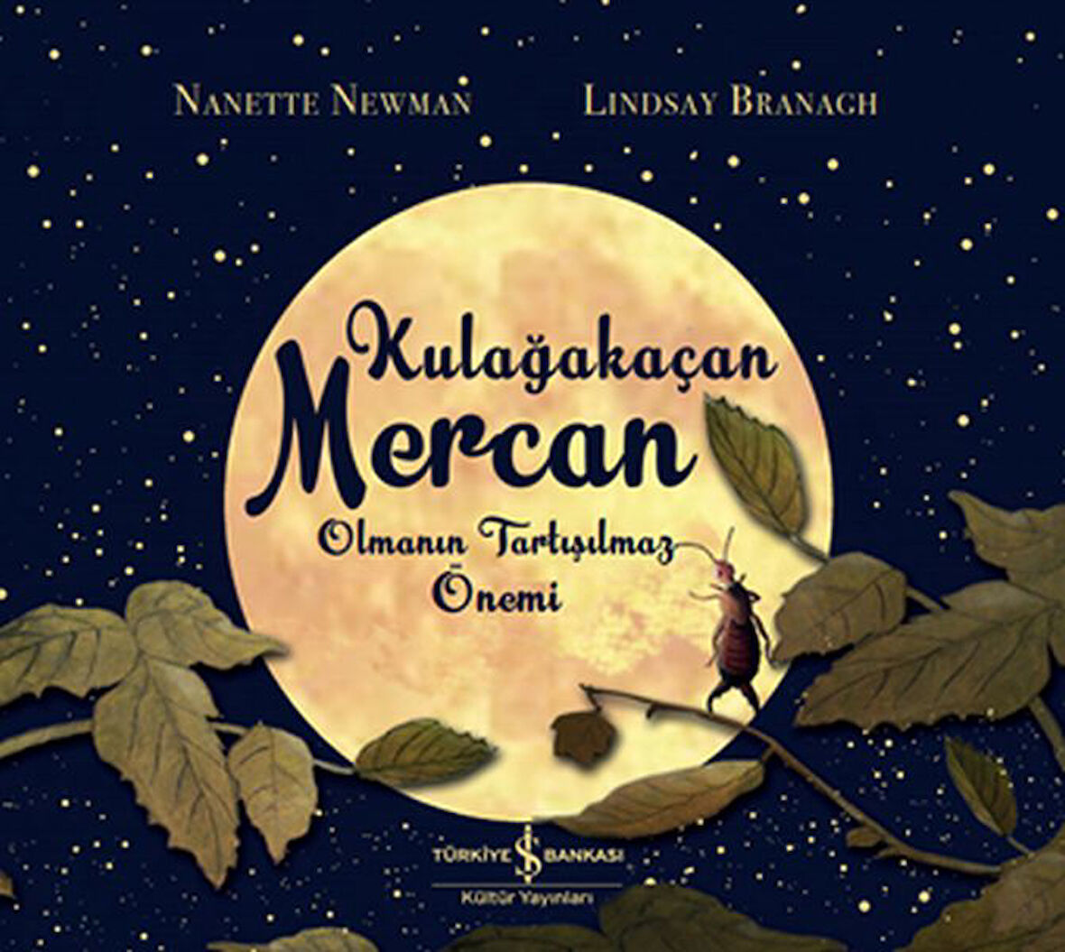 Kulağakaçan Mercan Olmanın Tartışılmaz Önemi-Korunaklı Poşetle