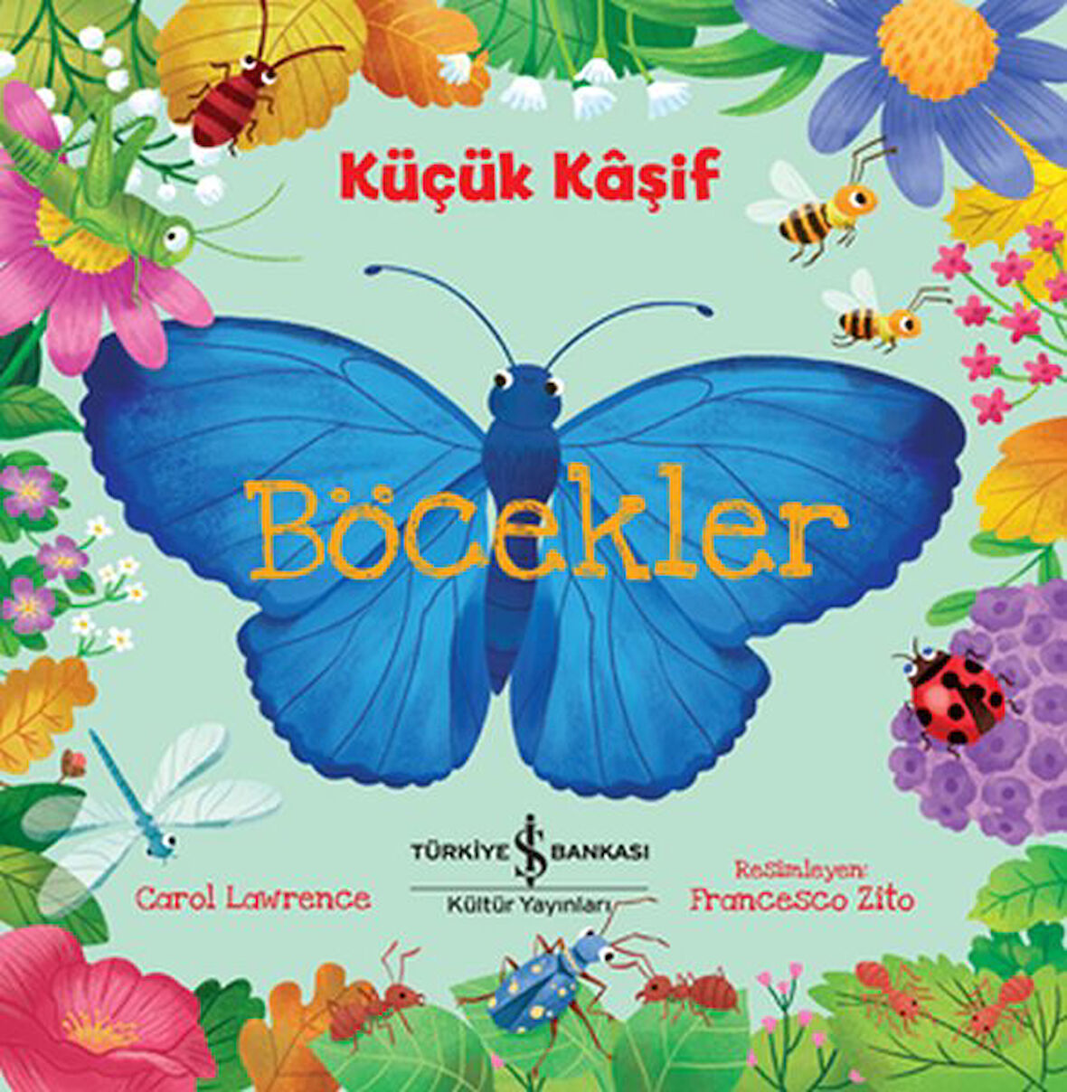 Küçük Kaşif - Böcekler-Korunaklı Poşetle