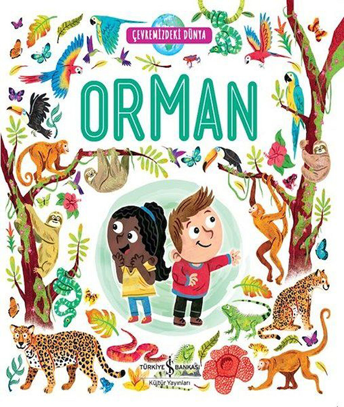 Orman - Çevremizdeki Dünya-Korunaklı Poşetle