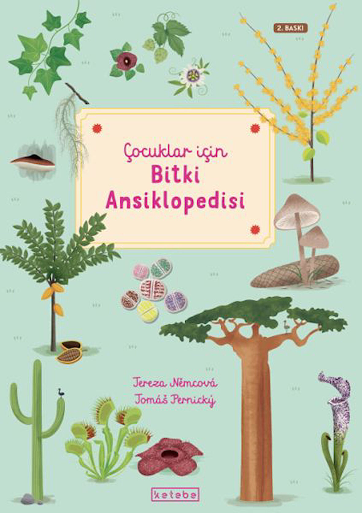 Çocuklar İçin Bitki Ansiklopedisi-Korunaklı Poşetle