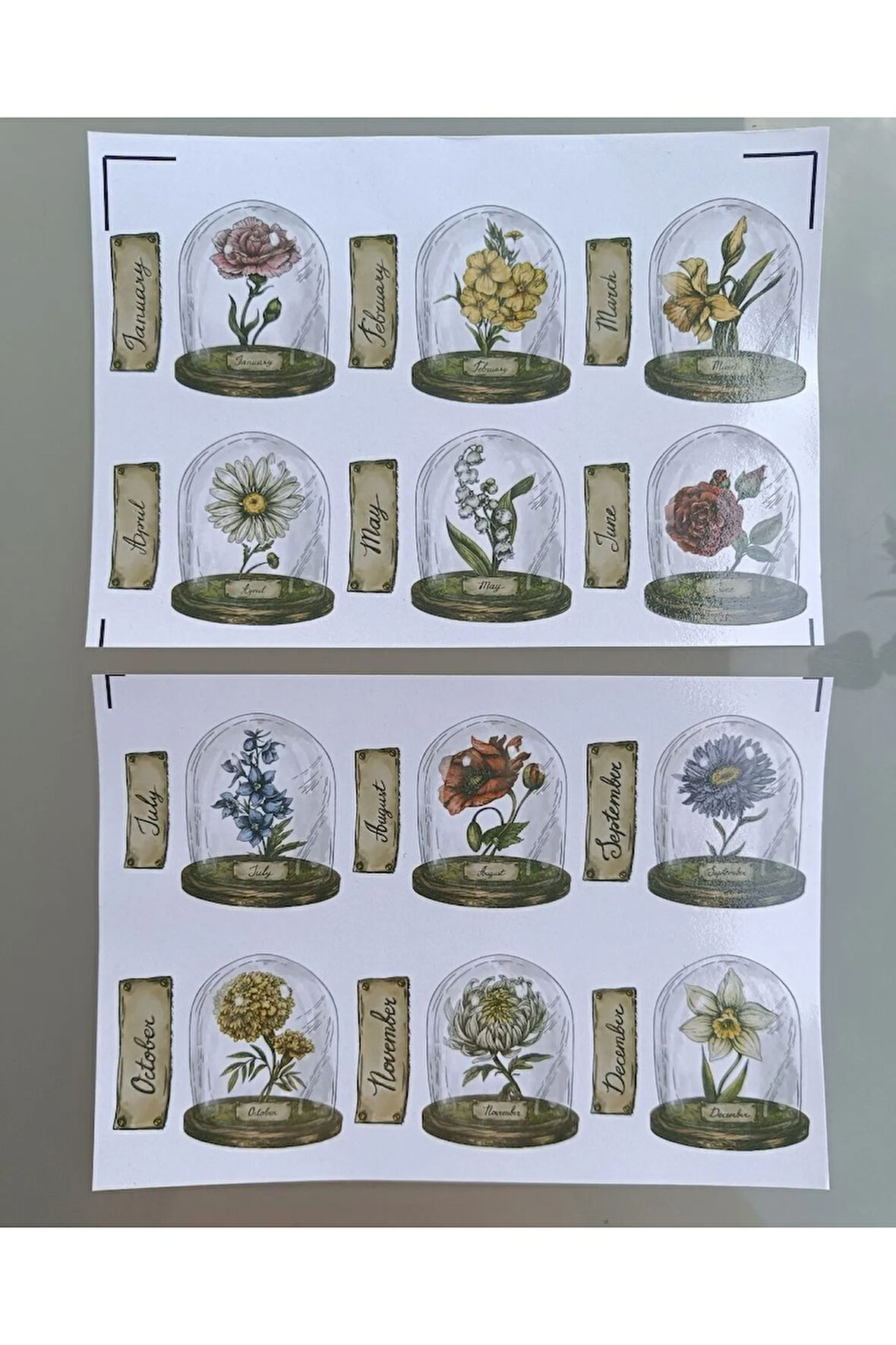 Vintage Scrapbook Fanus İçerisinde Çiçekler ve Aylar Etiket Seti, Bullet Journal, Planlayıcı Sticker