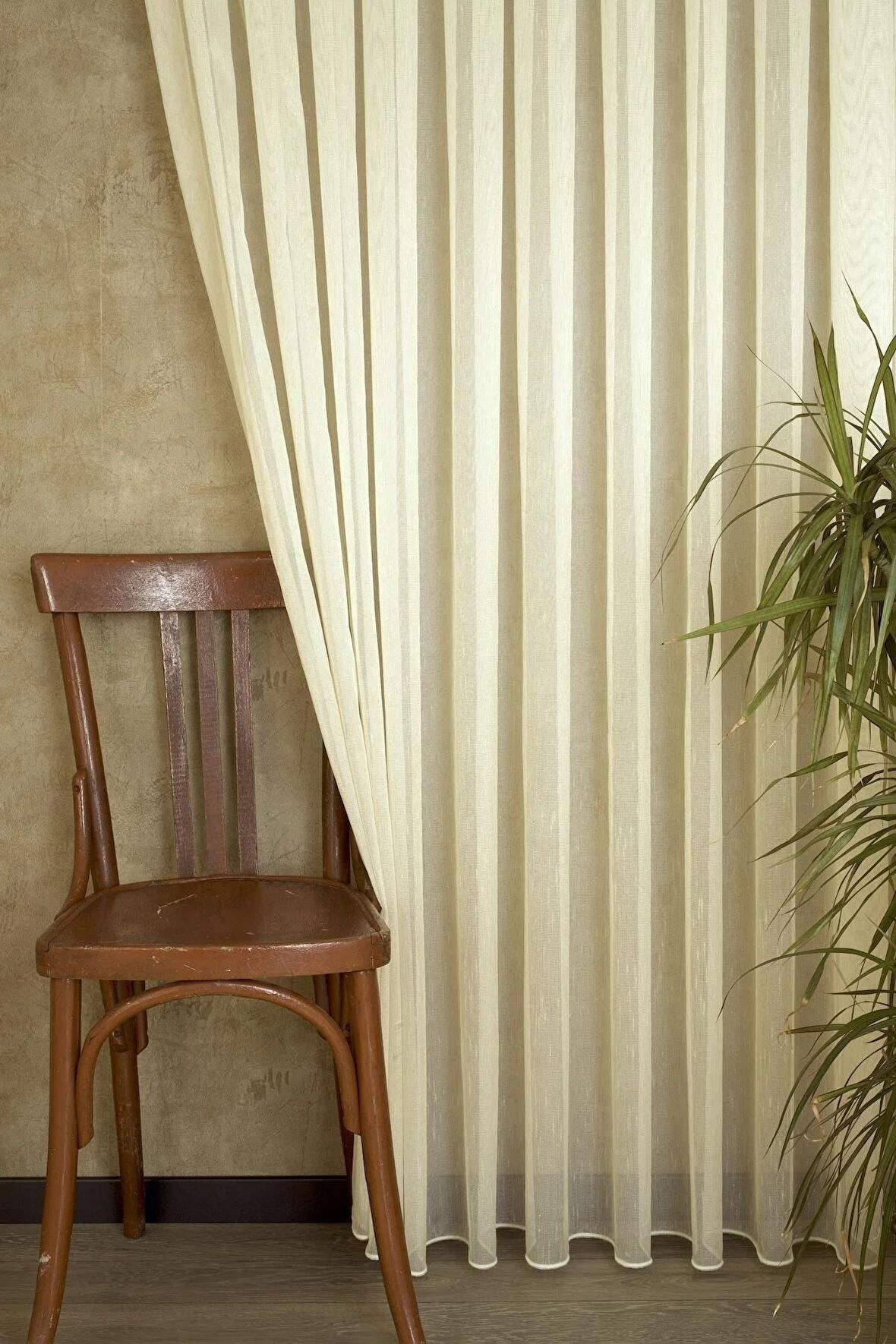 Massarelli Etamin Şantuklu Tül Şampanya  Pilesiz 