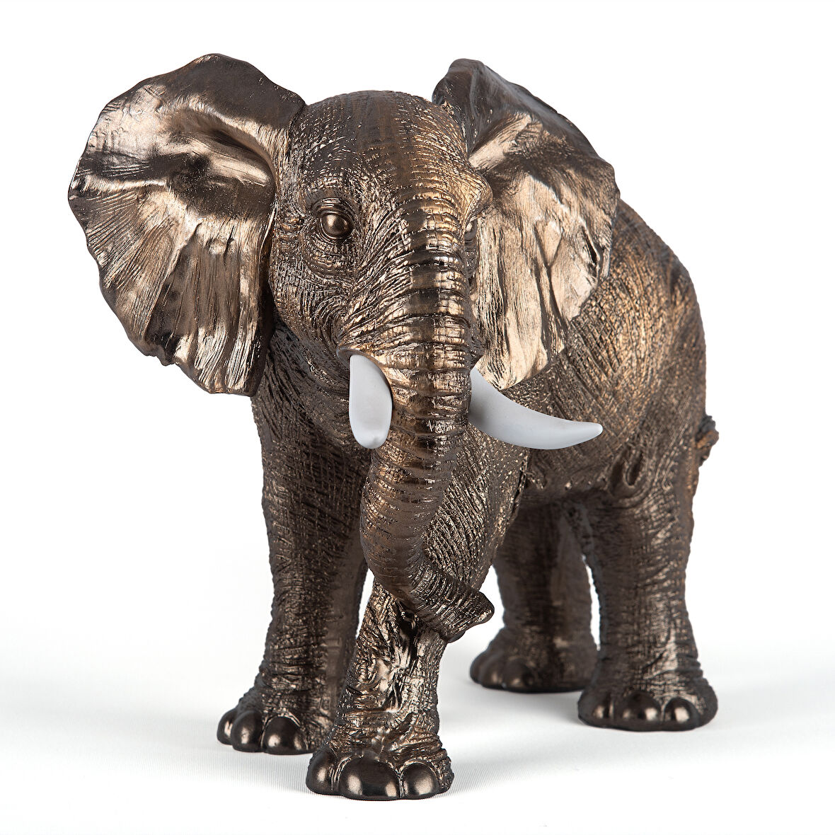 Fil Biblo (46x35 cm)