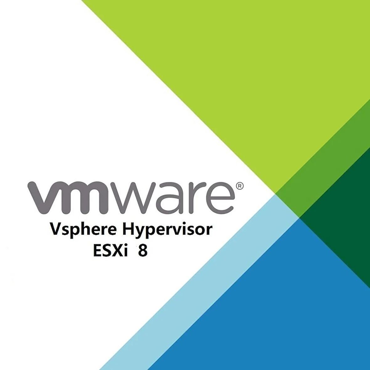 VMware Vsphere Hypervisor ESXi 8 - Lifetime/Ömür Boyu Dijital Kod