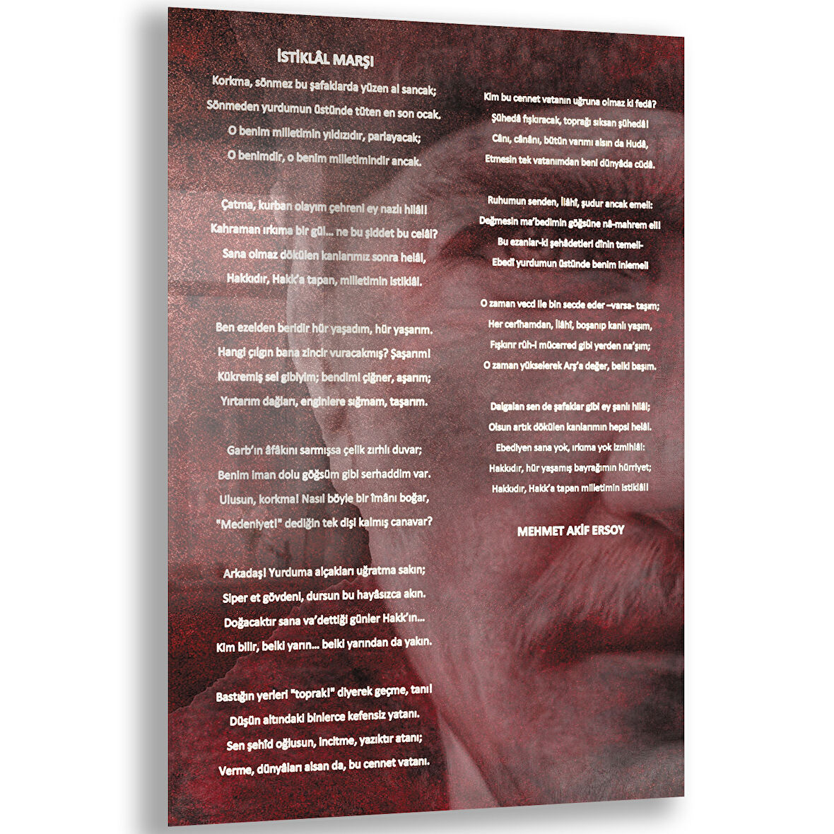 Atatürk Sözleri 2 Cam Tablo - Dikey Motif 02-013