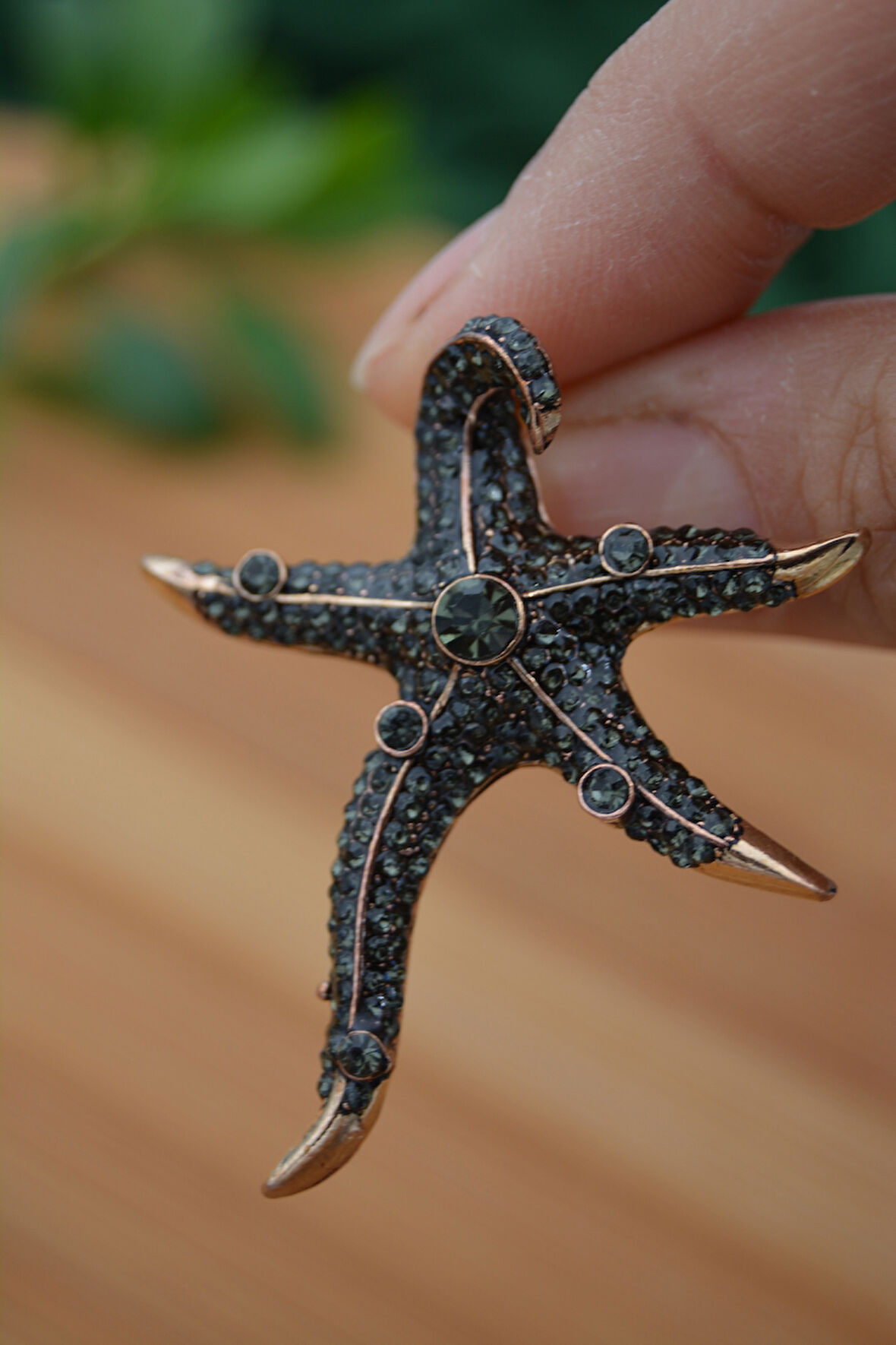 STONEAGE Deniz Yıldızı Zirkon Taşlı Kadın Küpe Madeni Bronz