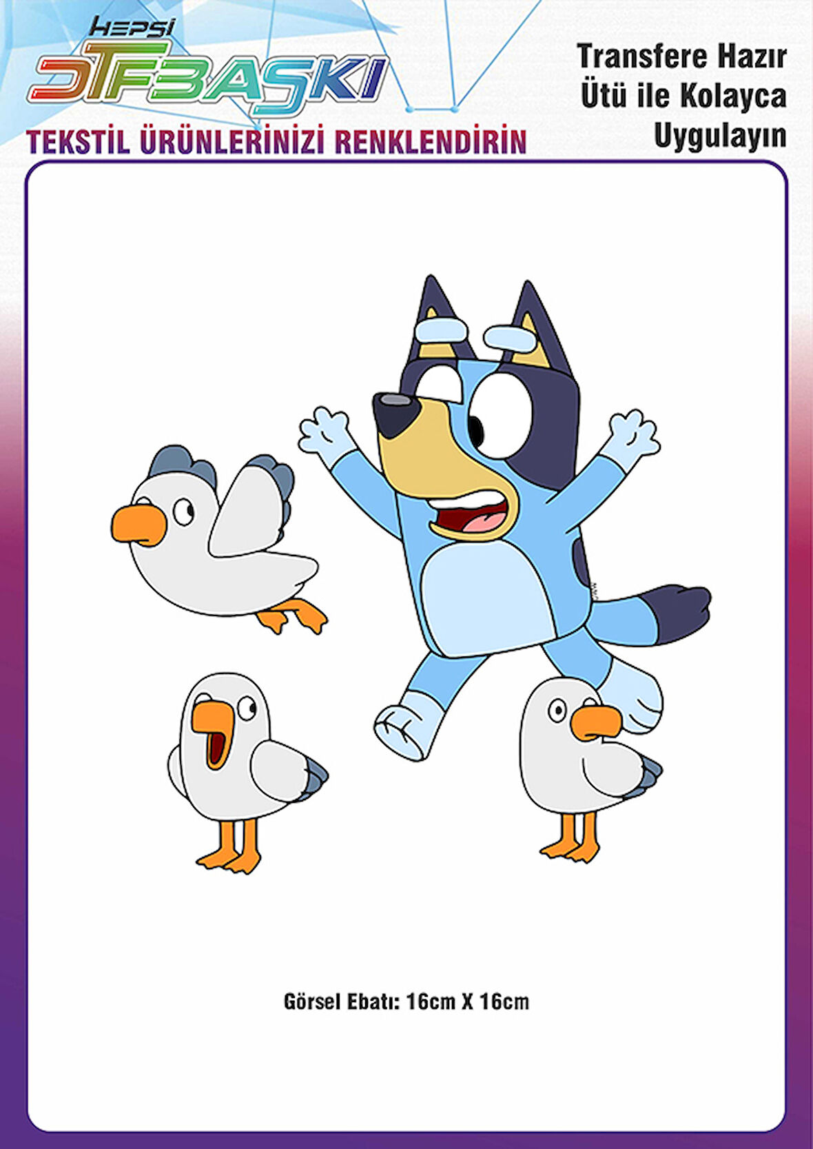 Bluey Martılar Ütü ile Yapışan Tekstil DTF Baskı
