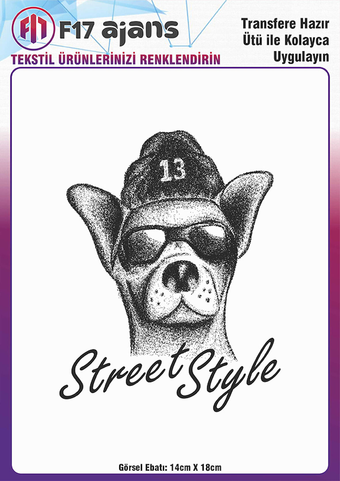 Ütü ile Yapışan Tekstil DTF Transfer Baskı Street Style