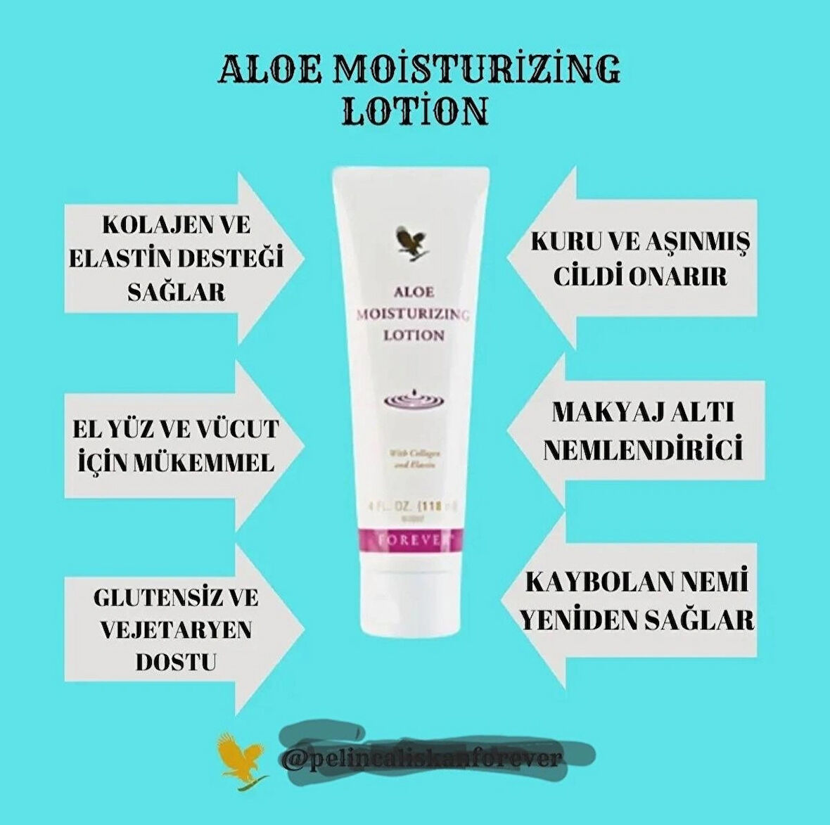 Aloe Moisturizing Lotion