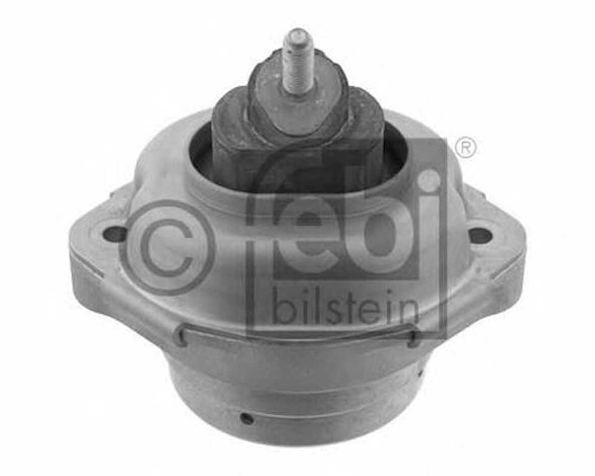 Febi 29838 Motor Takozu Sağ Sol BMW M57 X5 E53 01-05 22111096997