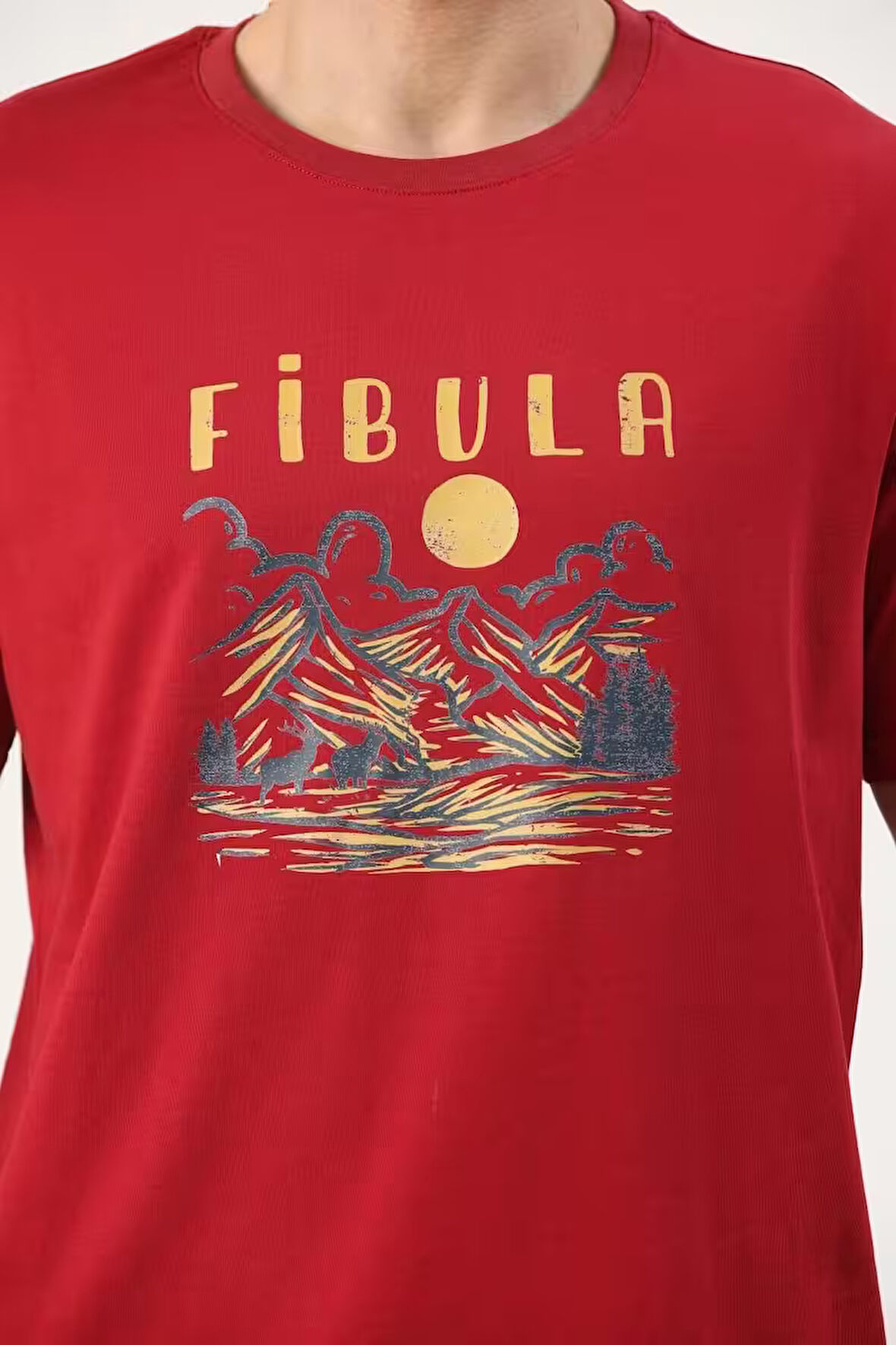 Fibula Moda Erkek T-Shirt