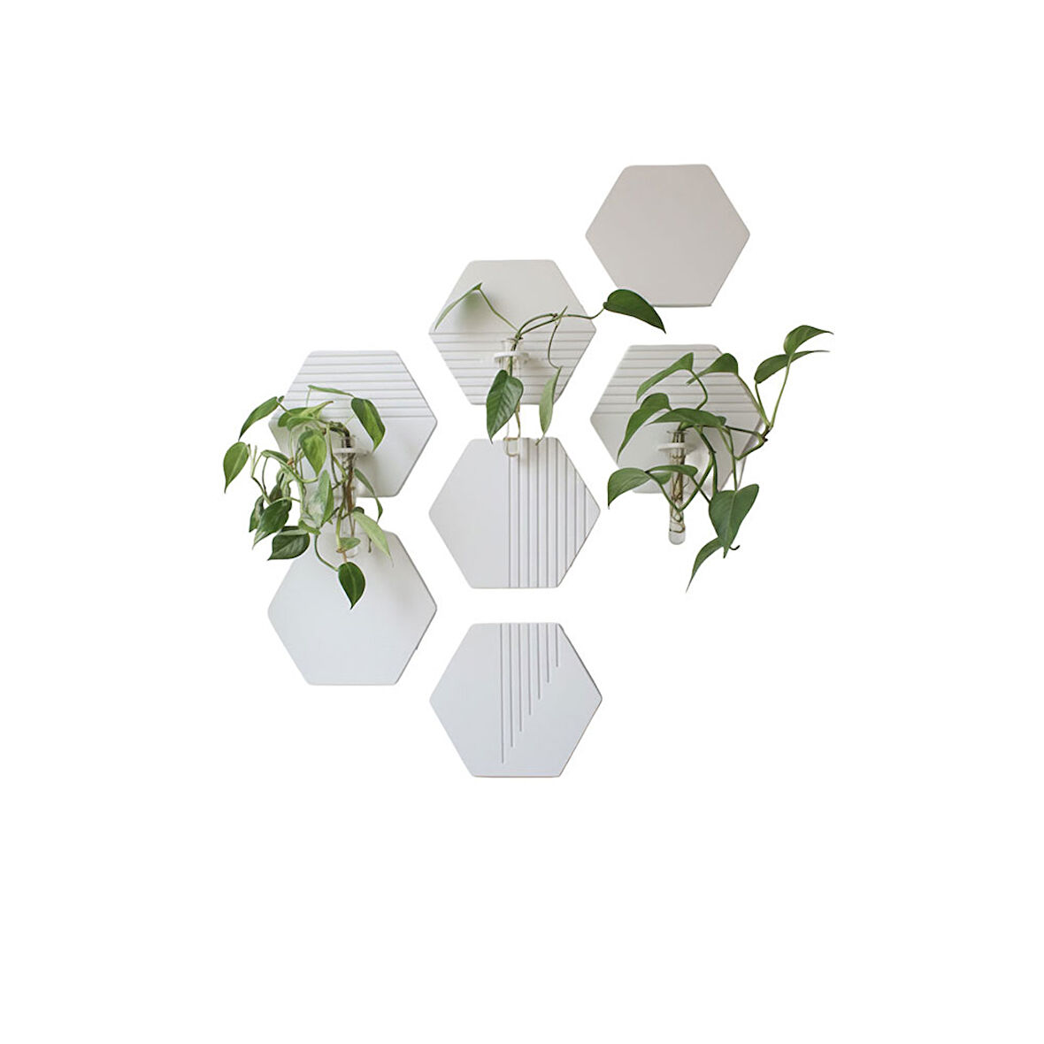 Hexagrow 7'li Duvar Bitki Seti