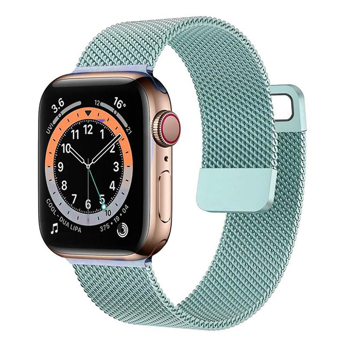Forzacase Apple Watch 8 41mm ile uyumlu Metal Mıknatıslı Kordon Kayış - FC158